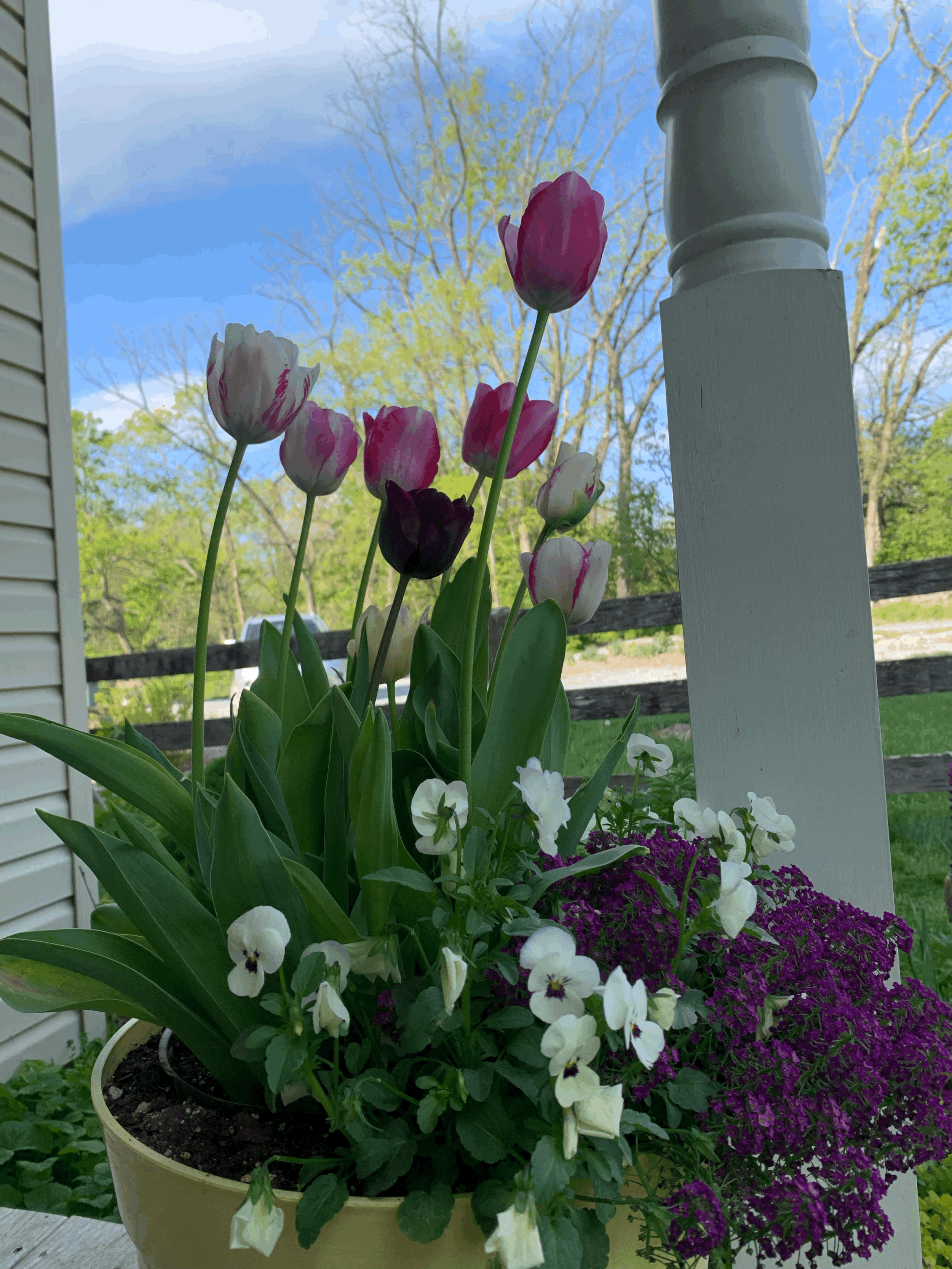 tempImageuKfDsy.gif (Copy)