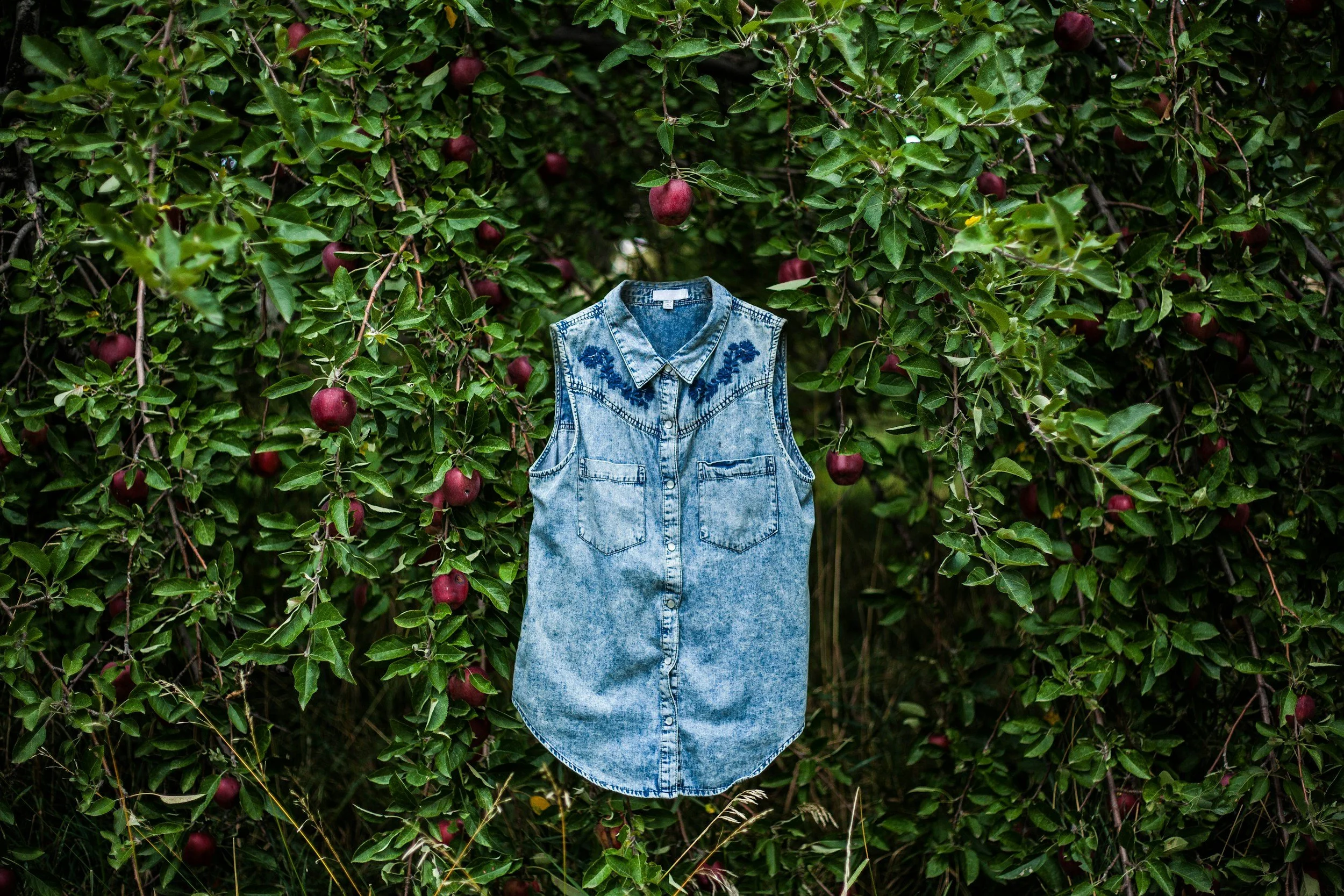 unsplash-image-x0dXfHPnOLg.jpg
