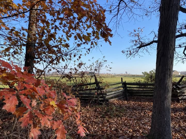 Herbst's Woods, Gettysburg National Military Park