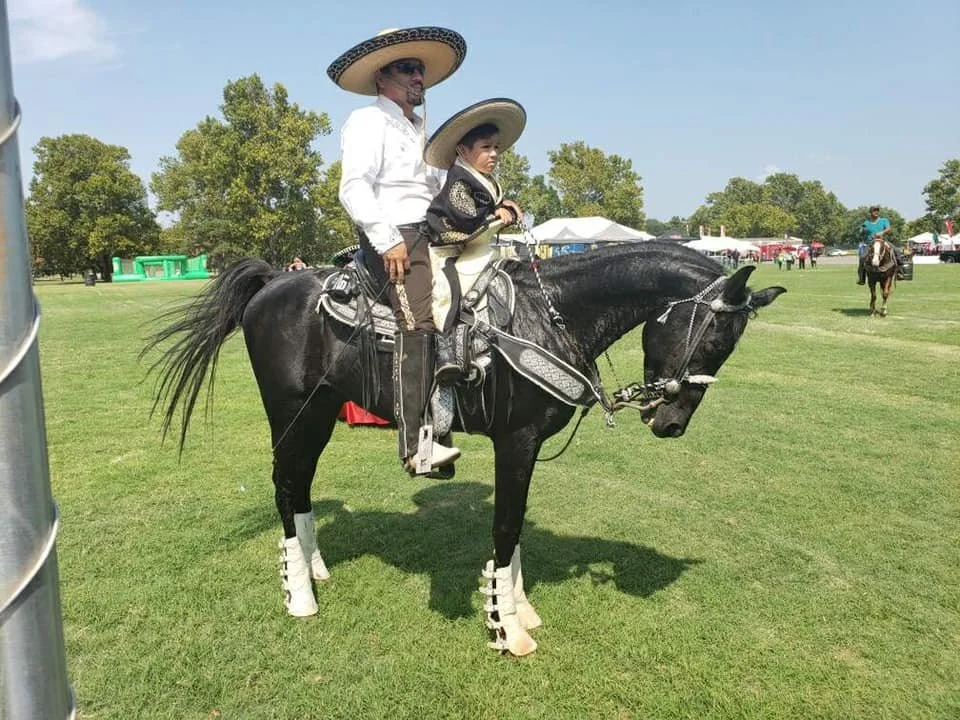 Horses festival.jpeg