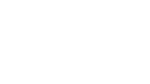 The Nurse Health Coach
