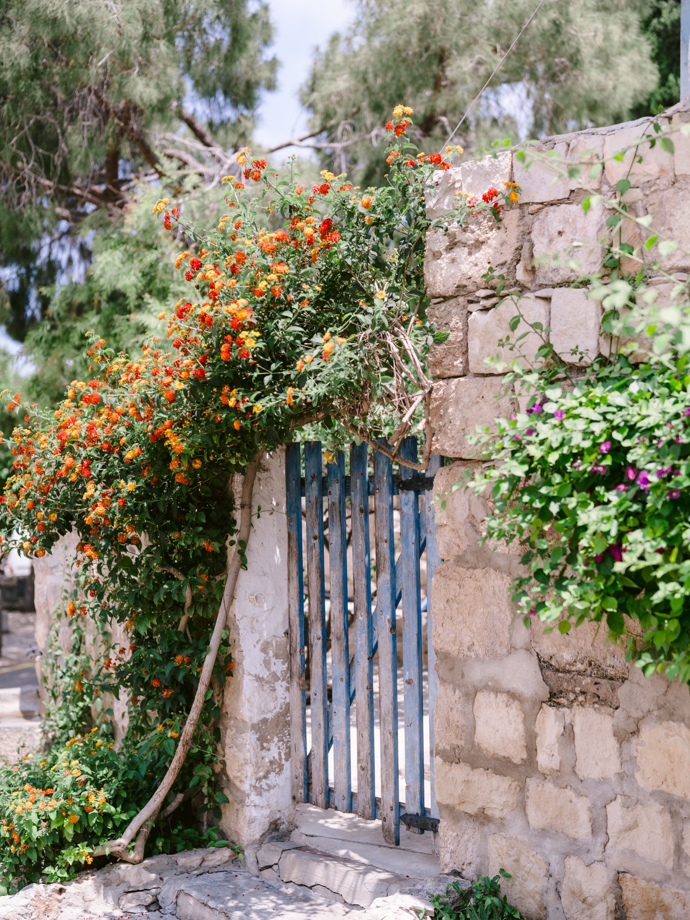 A hilltop village of artists since 1953.
#travelphotography #phototravel #israelphoto #travelphotographer #israelphotographer