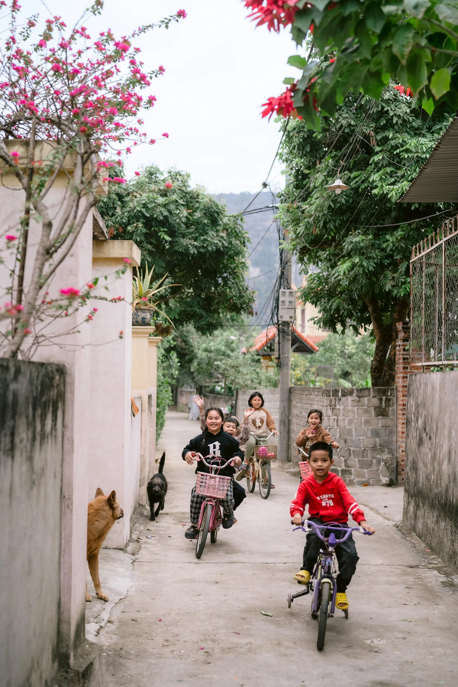 Vietnam-010.jpg