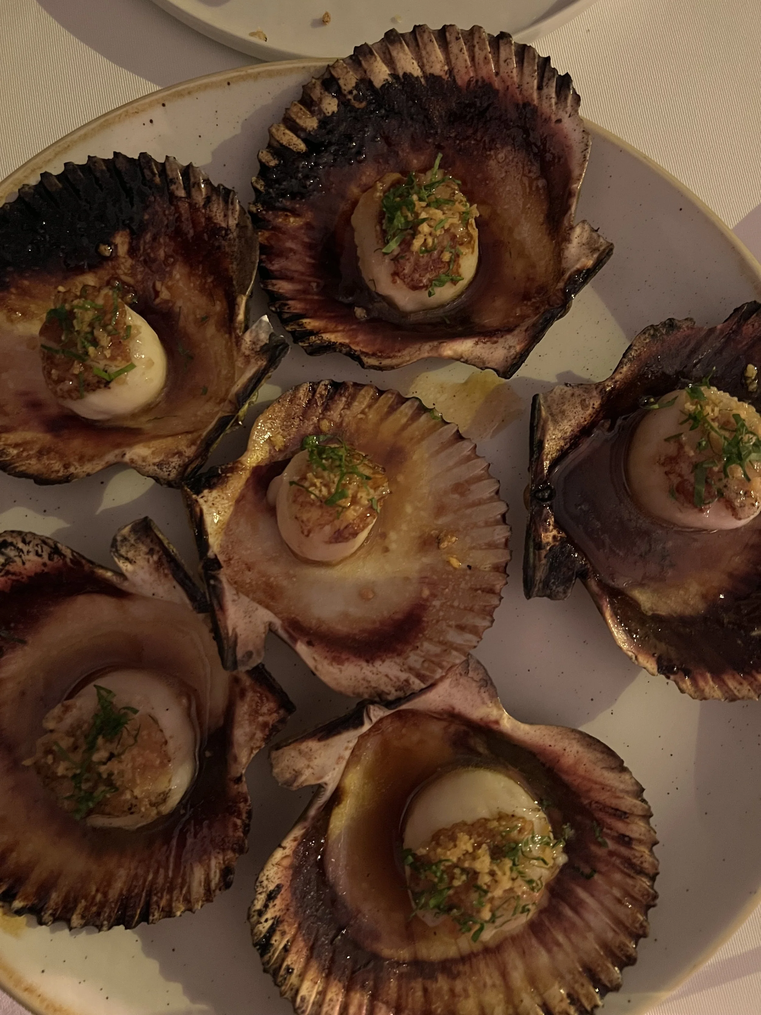 Scallops in leche de tigre at Rafael 