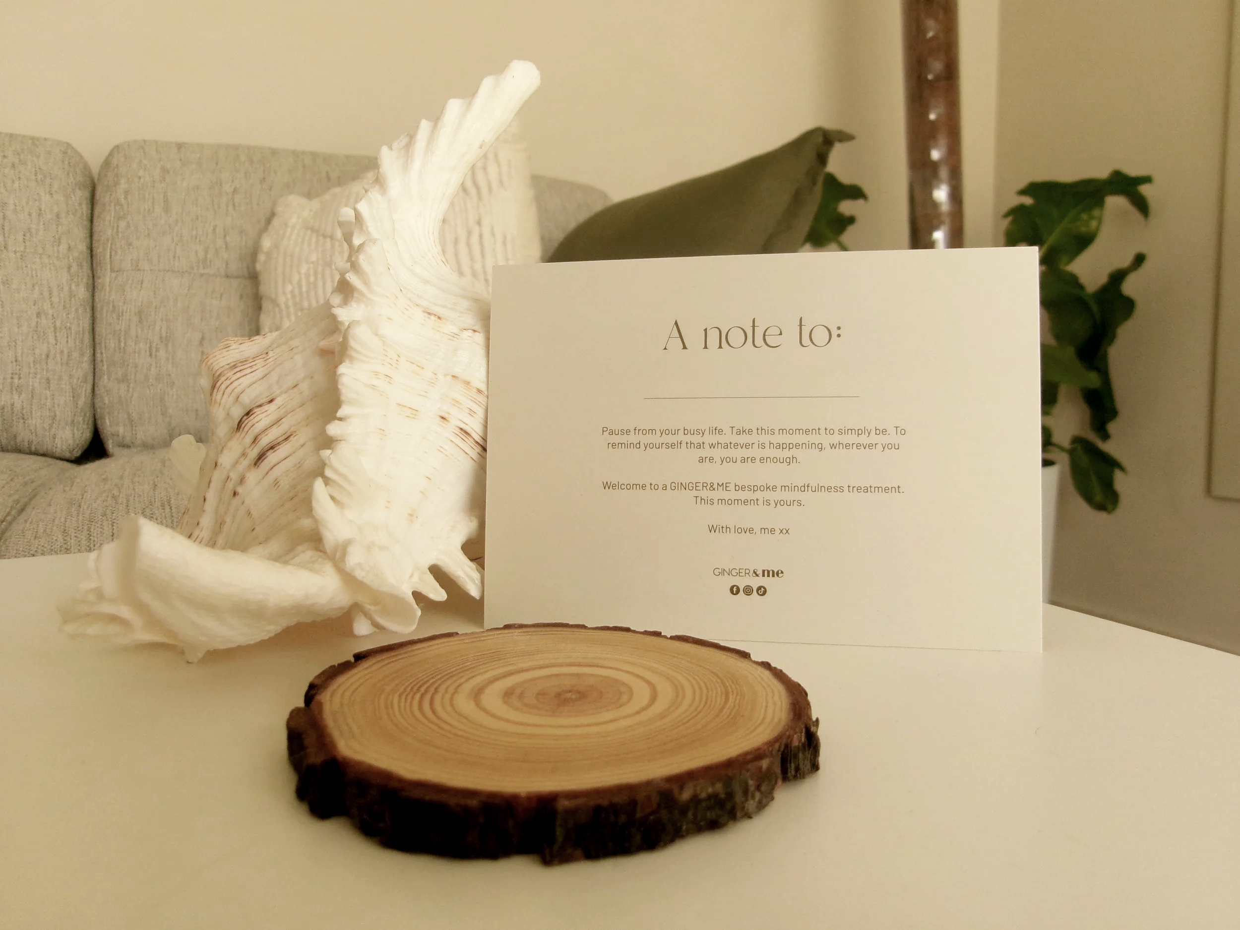 A note card resting on a wooden slab with seashells and a plant in the background.