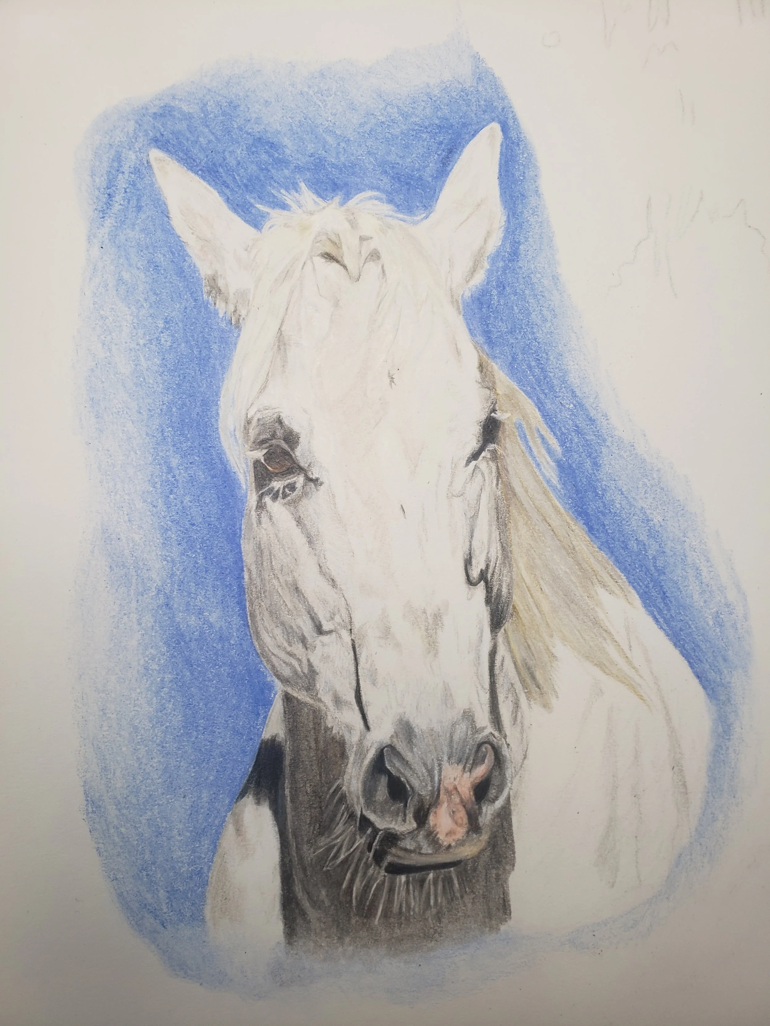 Color Pencil | 2021