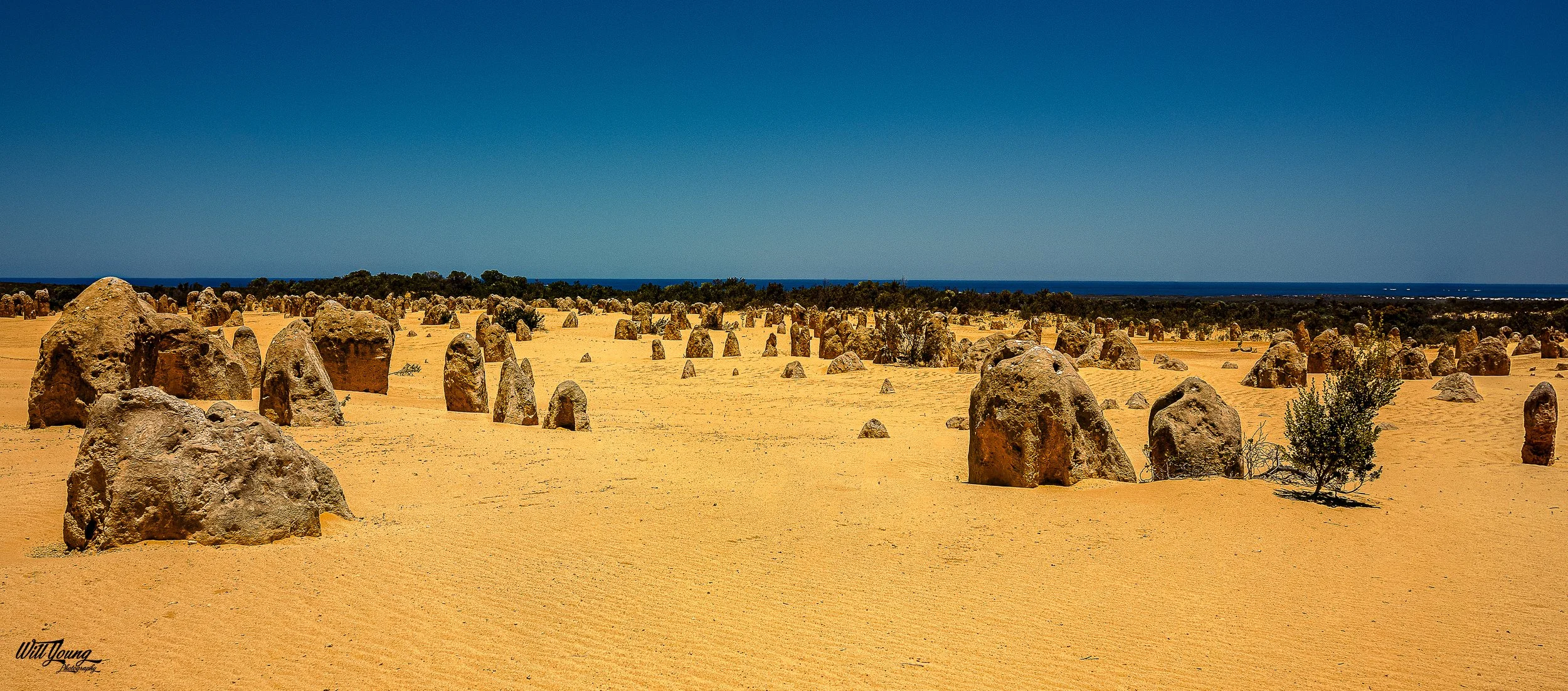 Pinnacles WA.jpg