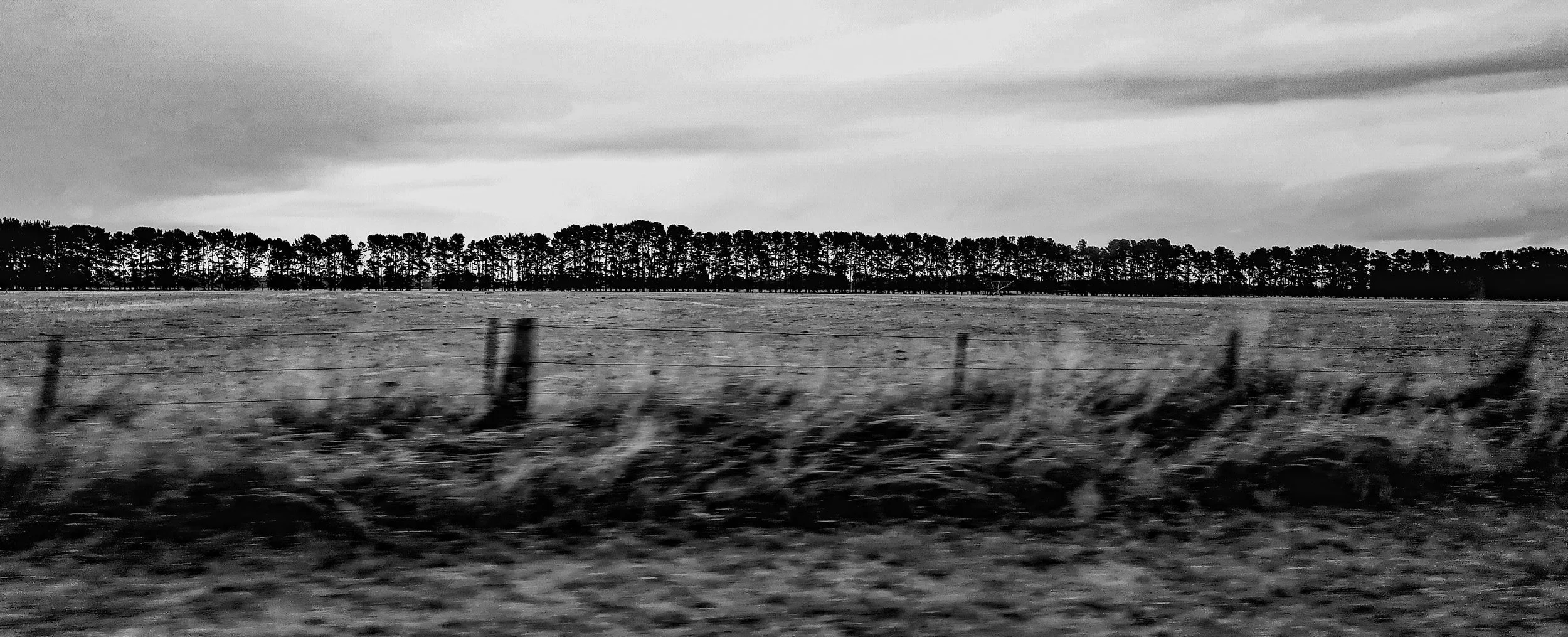 Christchurch - View of a Passenger.jpg