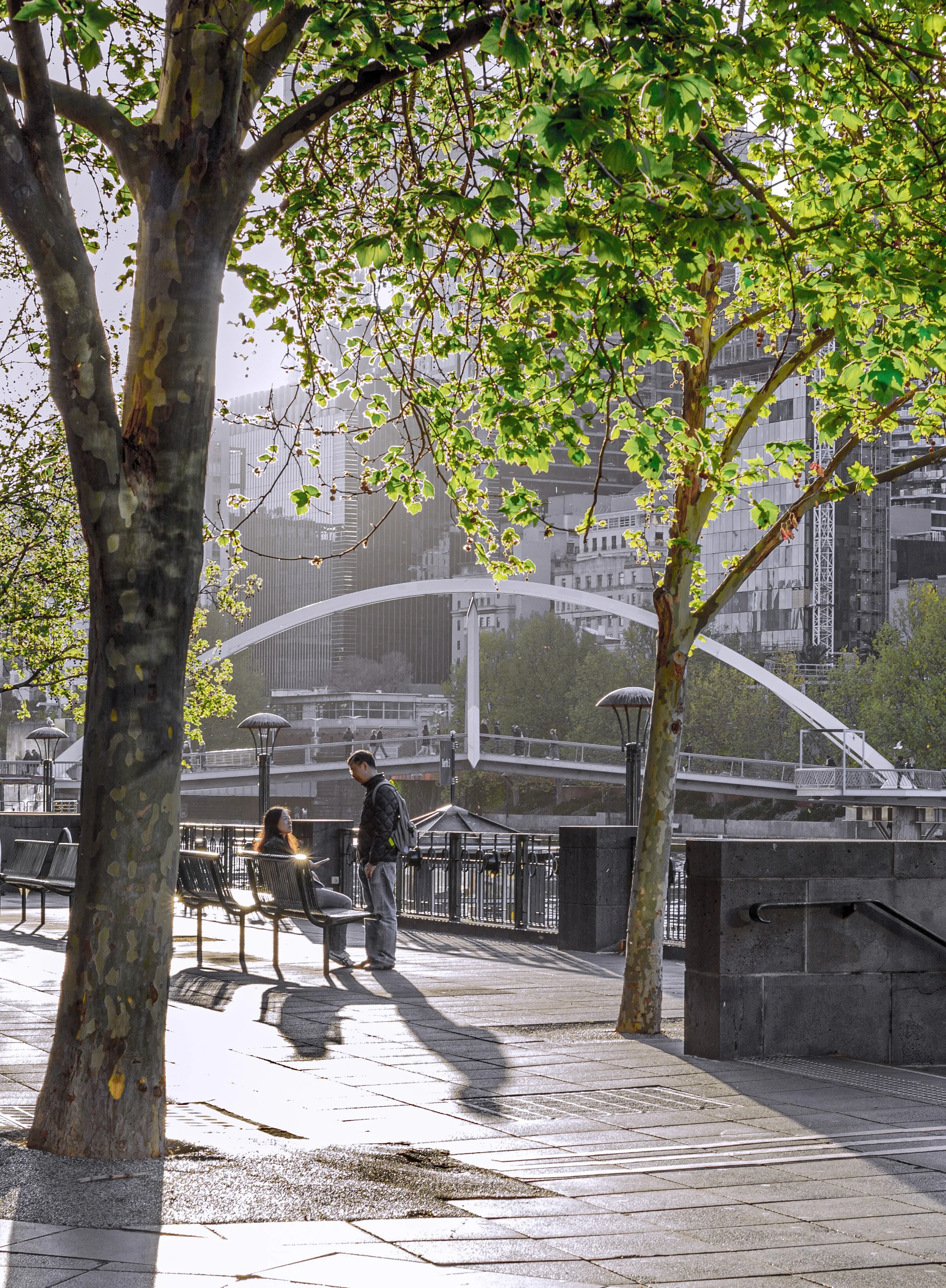 Melbourne River Side 2.jpg