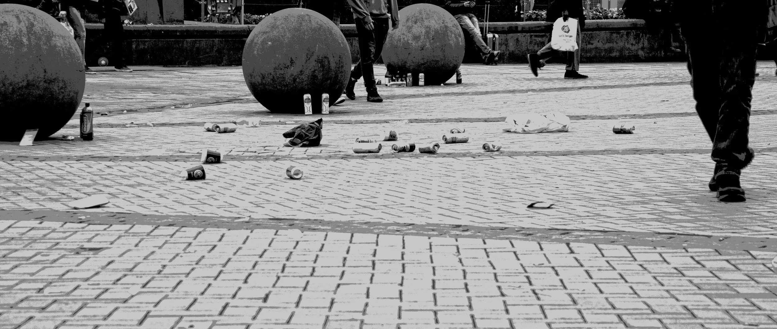 Birmingham Litter.jpg