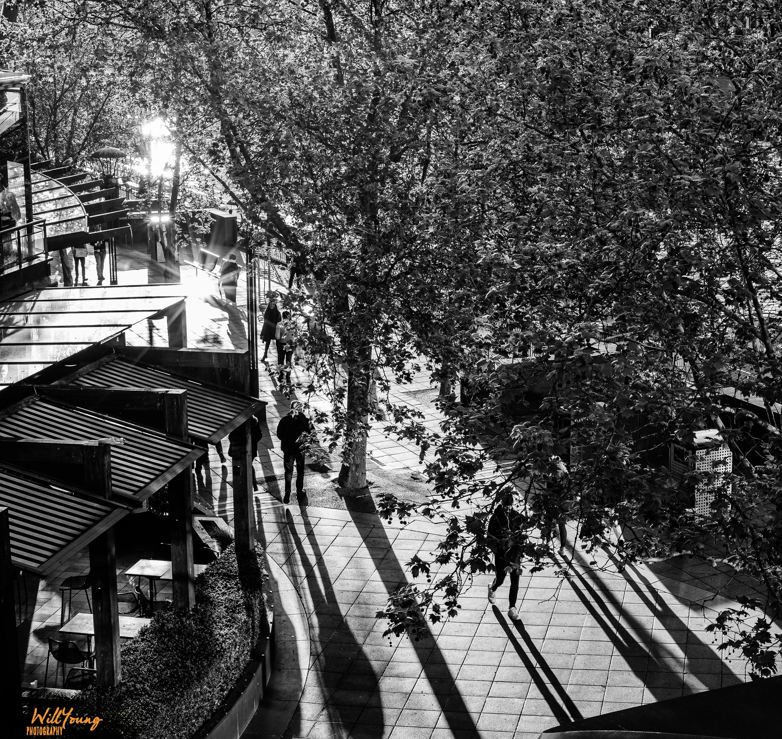 Melbourne 3.jpg