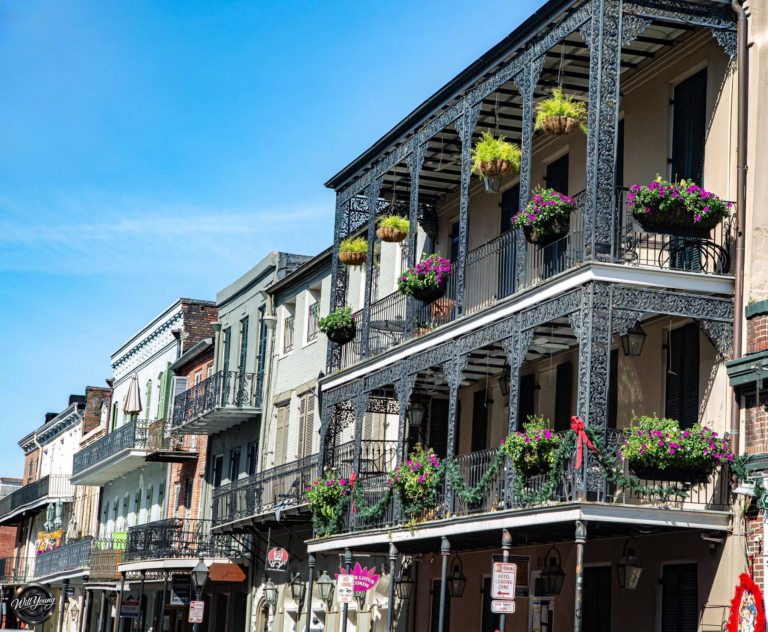 New Orleans 3 jpeg.jpg