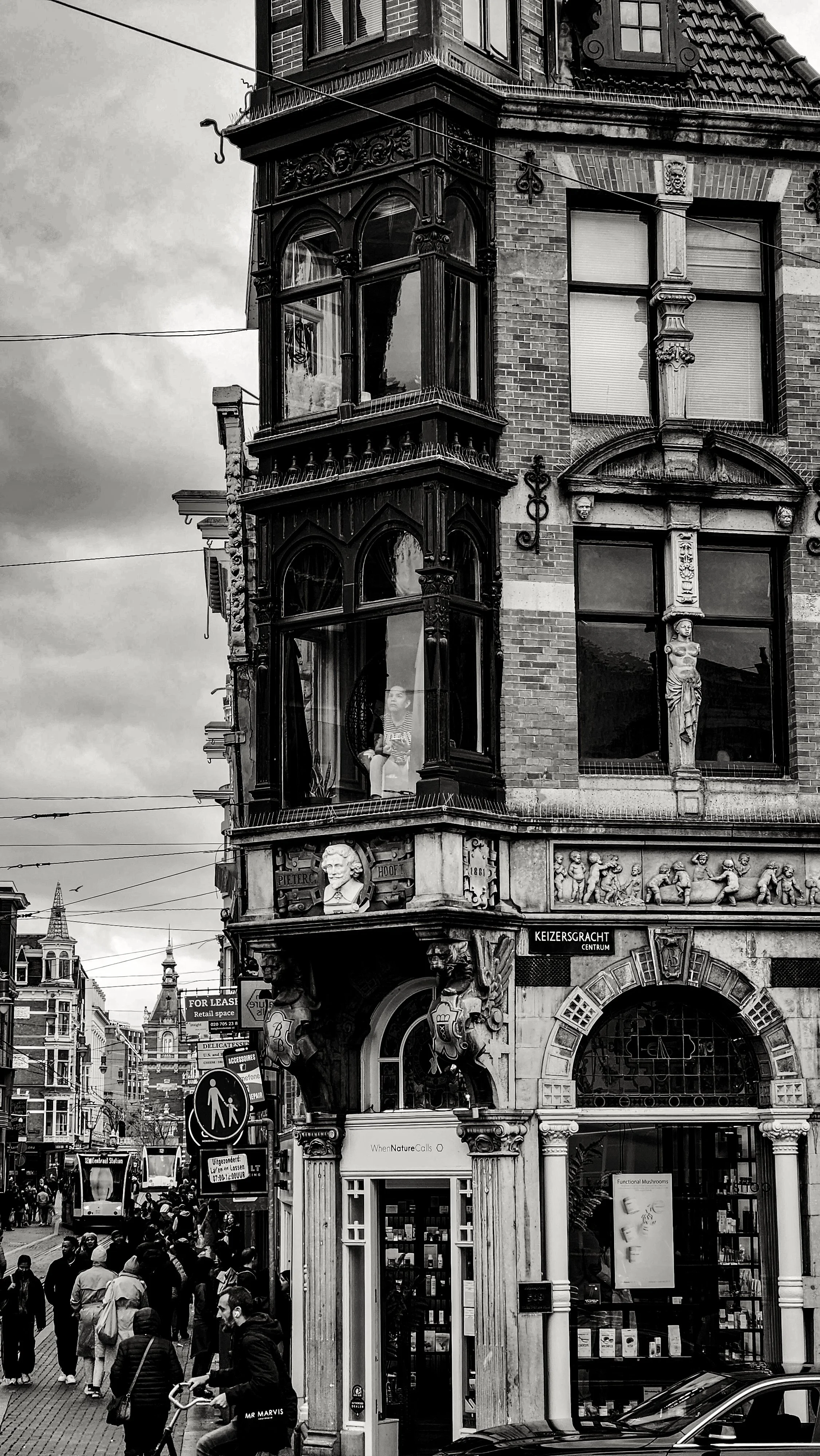 Amsterdam Street Lookout (1 of 1).jpg