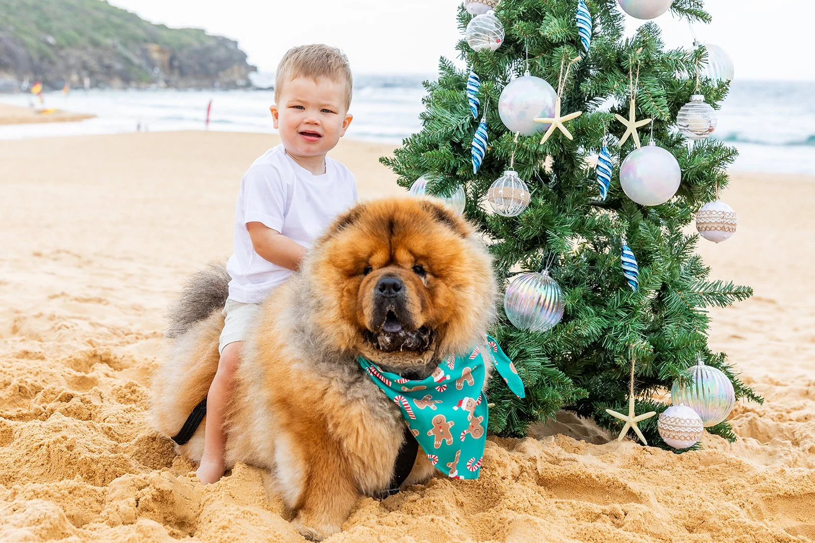 Santa on the Beach 1611 NS_147_websize (1).jpg