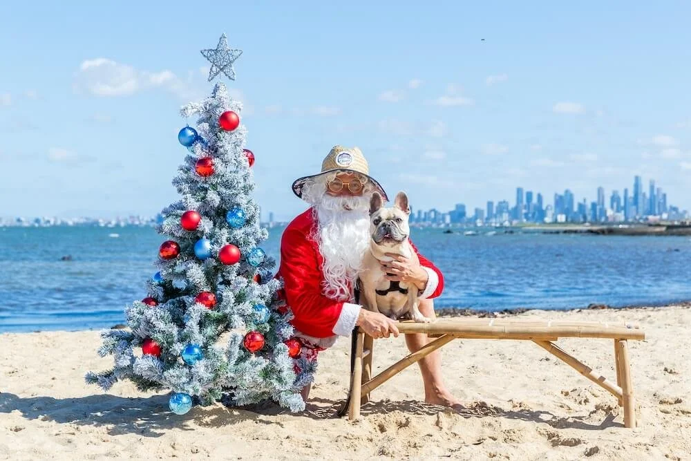 christmas photos with dog in melbourne.jpg