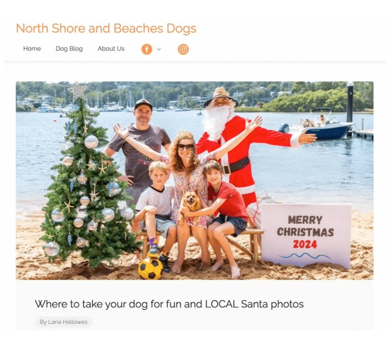 North Shore and Beaches Dogs features Santa on the Beach Pics