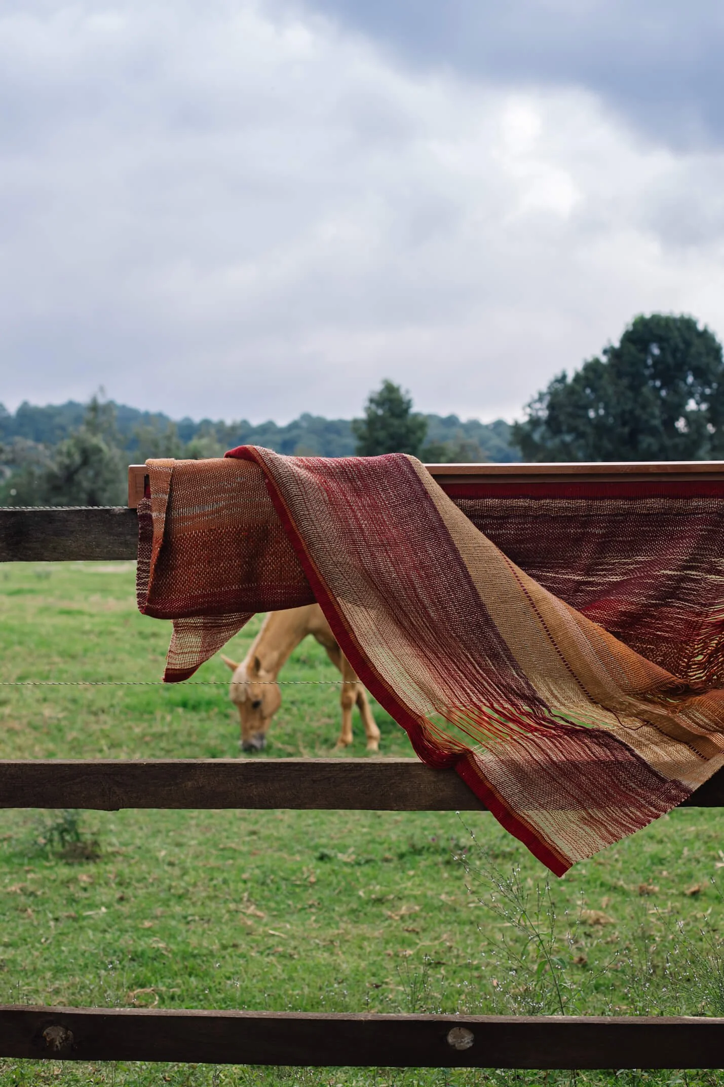 Teotitlán 5_ADLF_Rancho-109.jpg