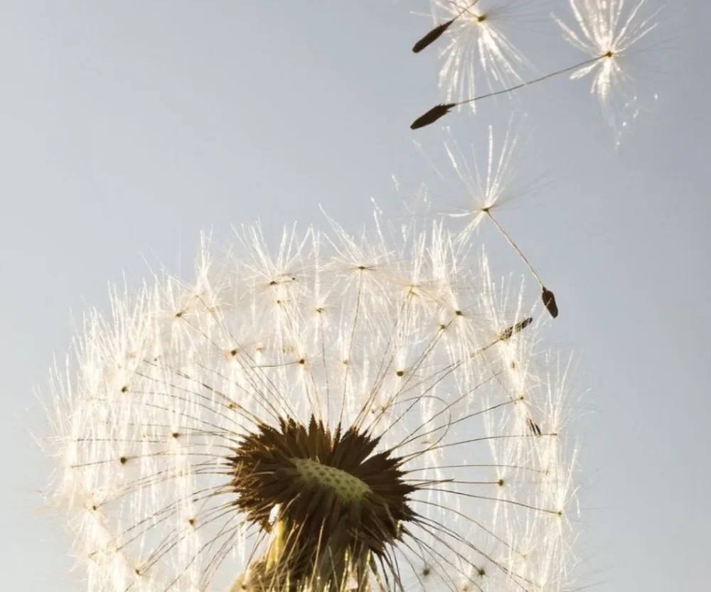 Dream dates dashed: Are you irrational or just being picky?