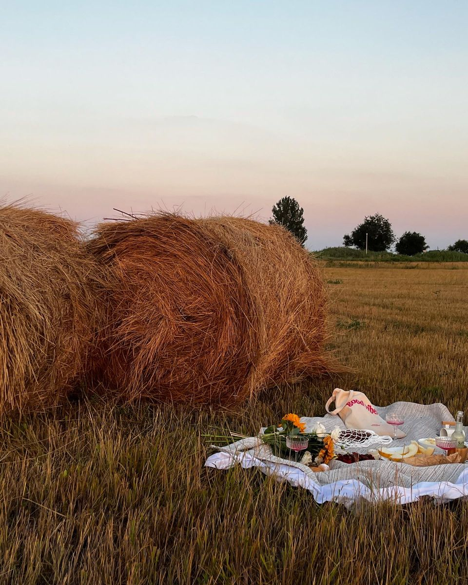 Should You Really Burn the Haystack?&nbsp;