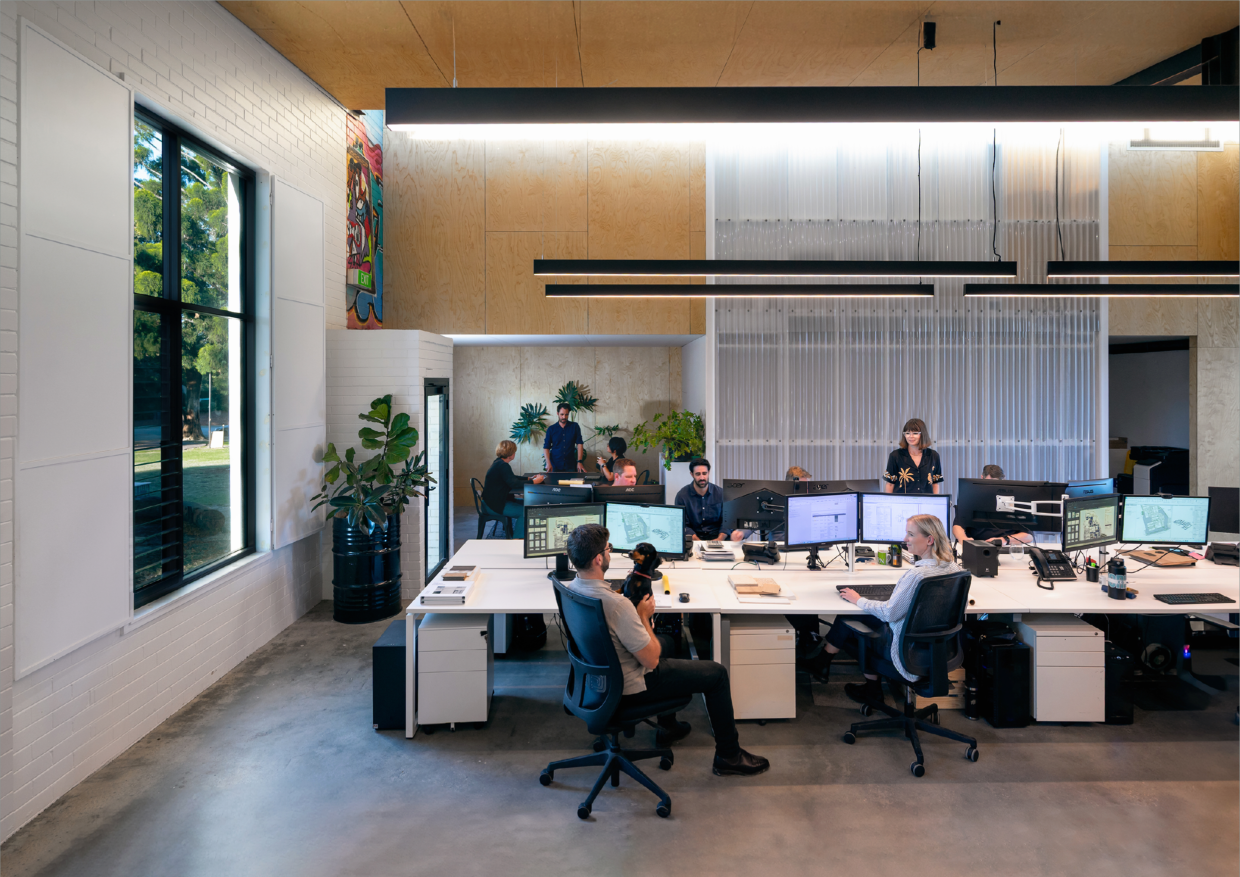 Whitehaus – CS – 26-F-01.png