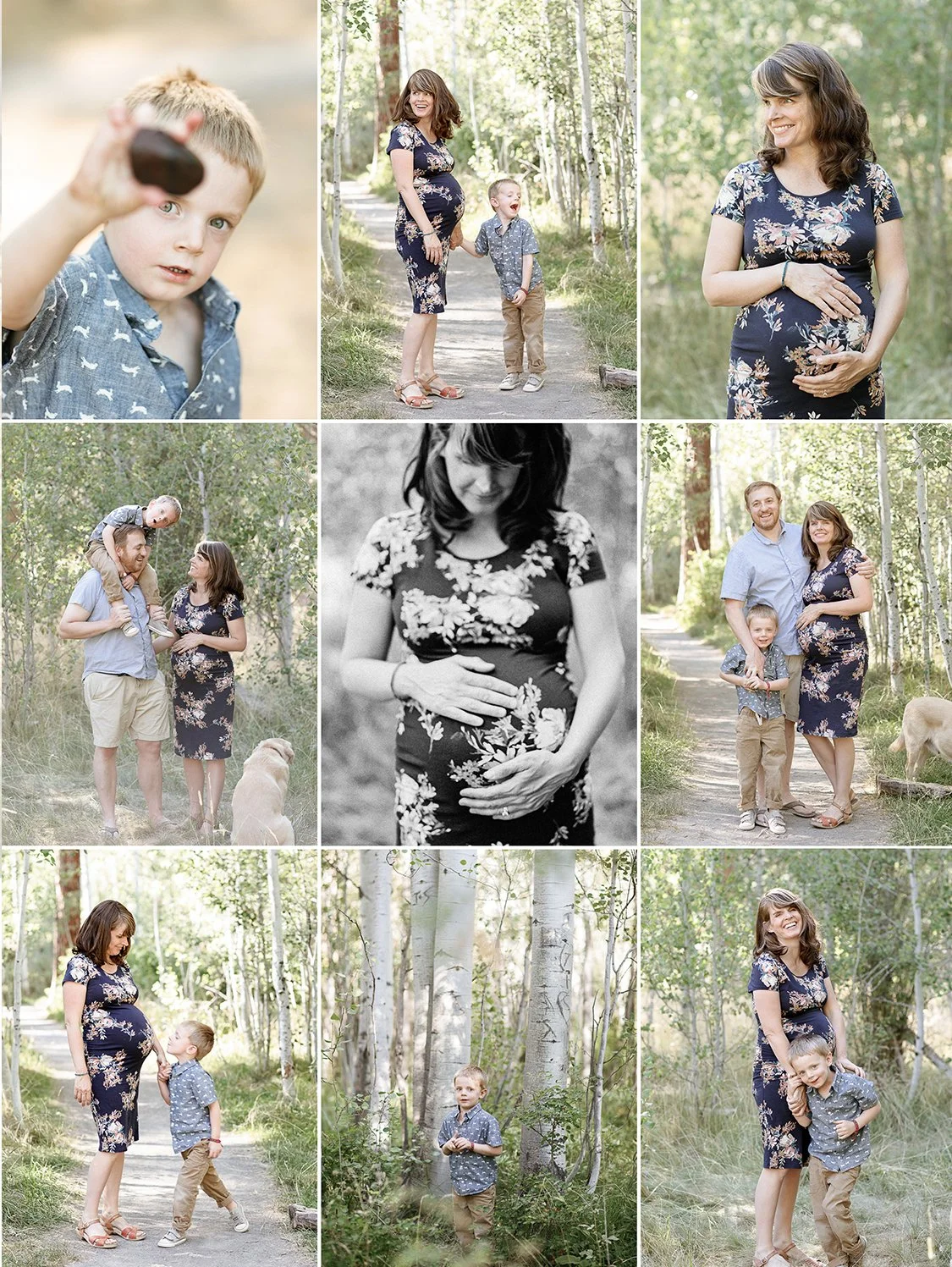 Shevlin Park.jpg