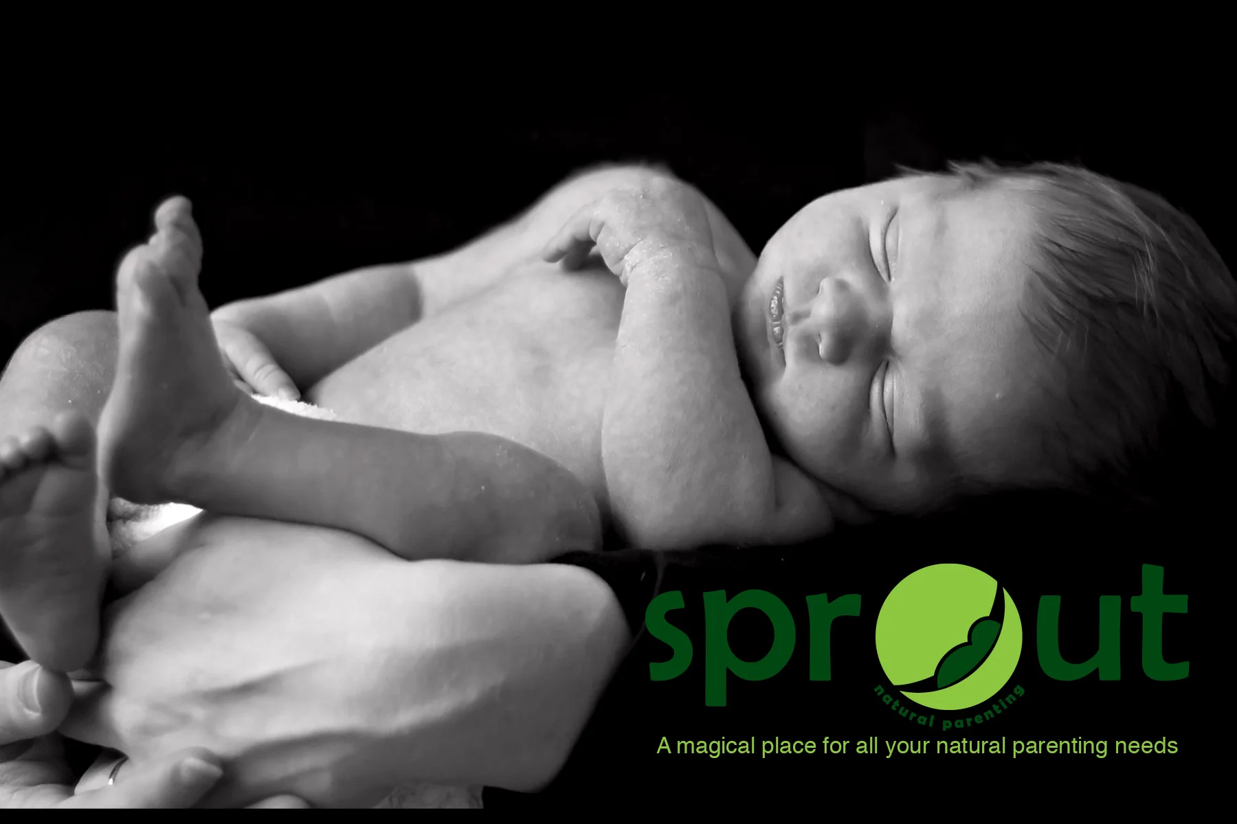 sproutFinalFront.jpg
