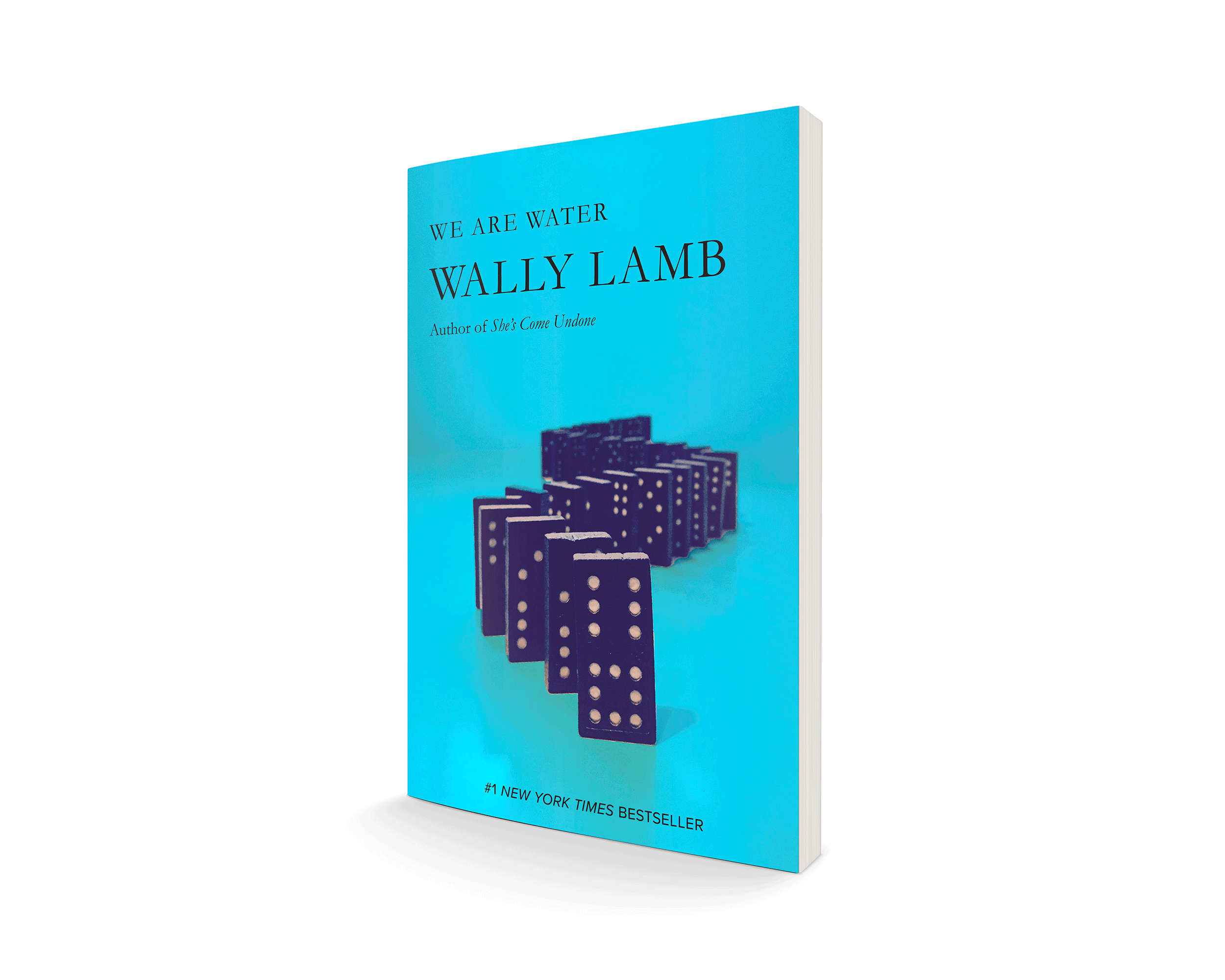 Book Cover Series