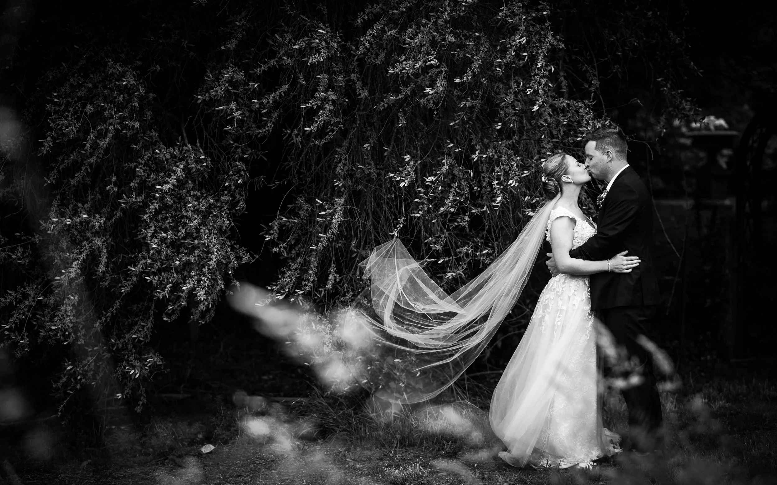 Black and white wedding photo of a bride and groom kissing, with the bride's veil flowing behind her, standing outdoors near trees.