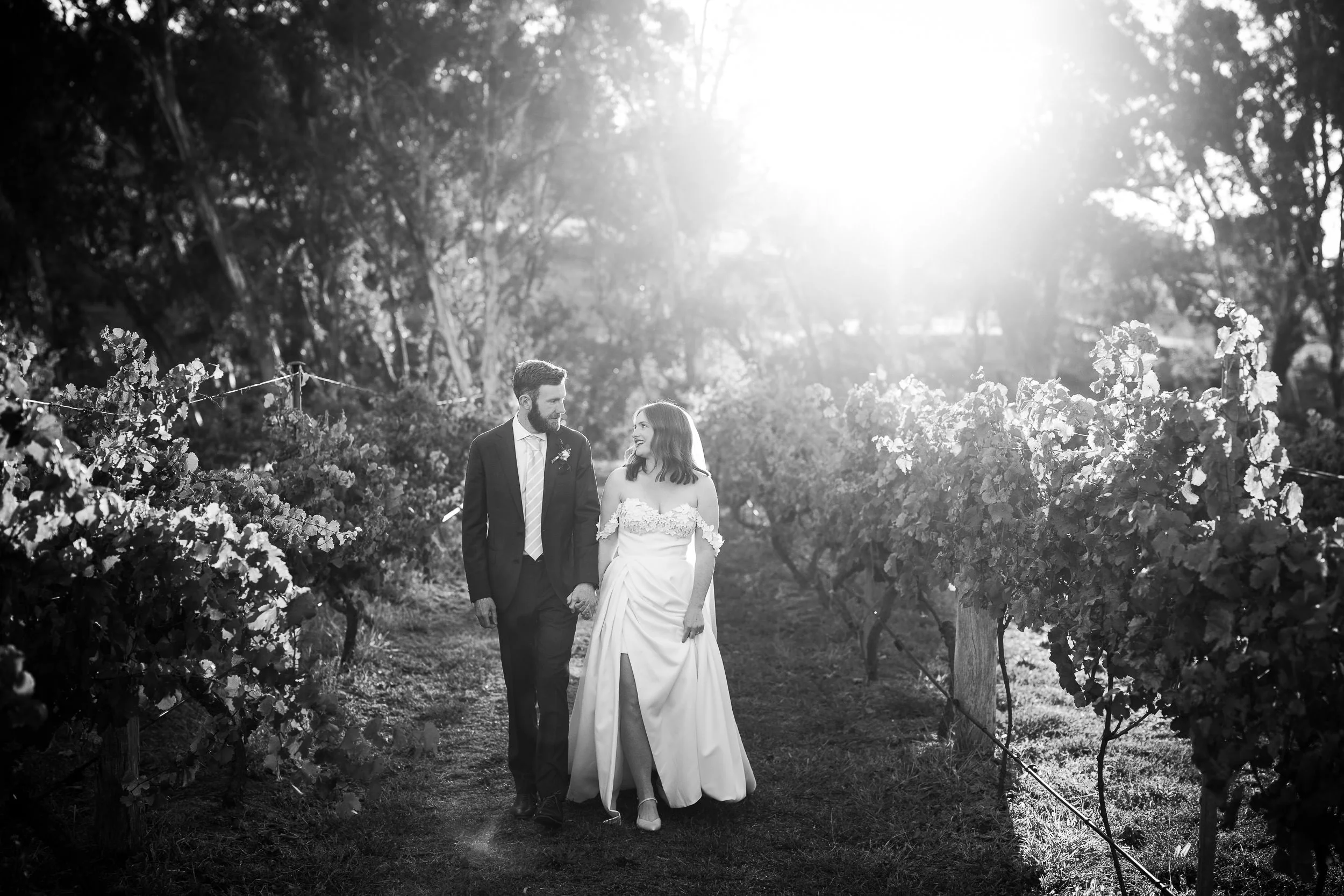 A newlywed couple walking hand in hand through a vineyard at sunset, black and white photo.