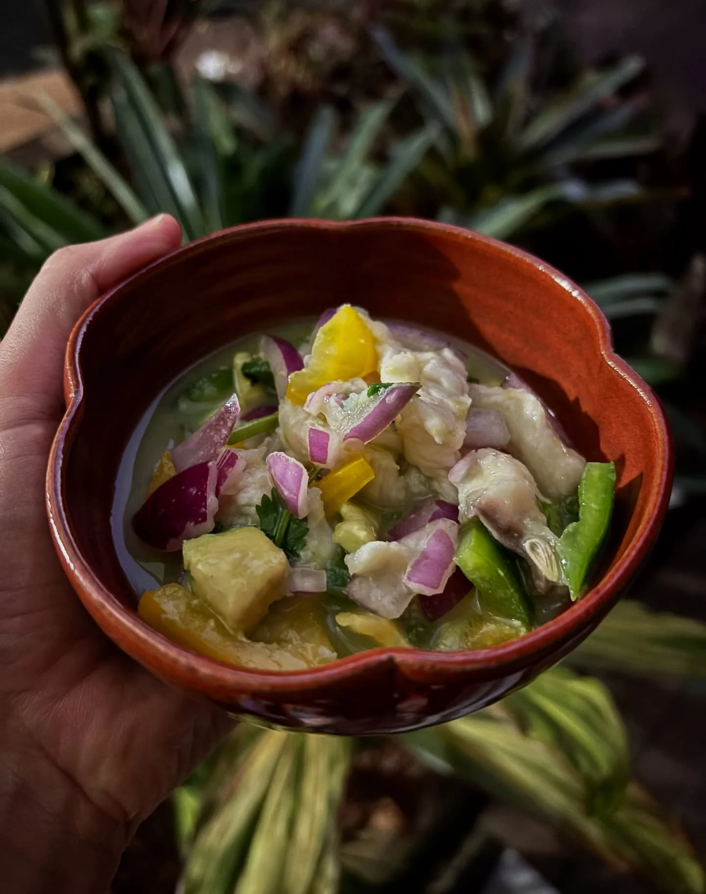 Sneaky ceviche for dinner tonight 🙌🏽 🩵🐟 

#handmade #ceramics #handmadepottery