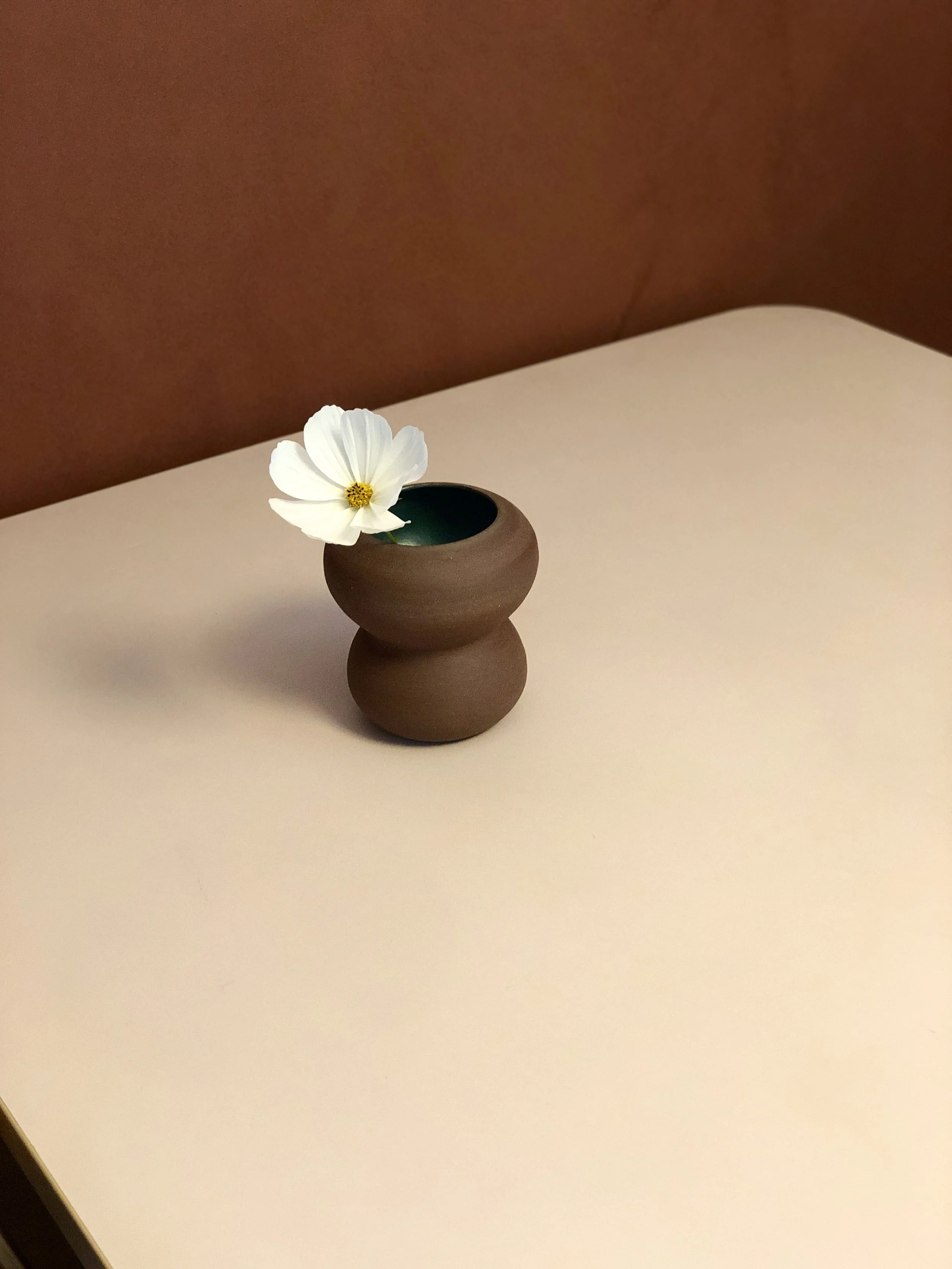 Launch Skjold Studio