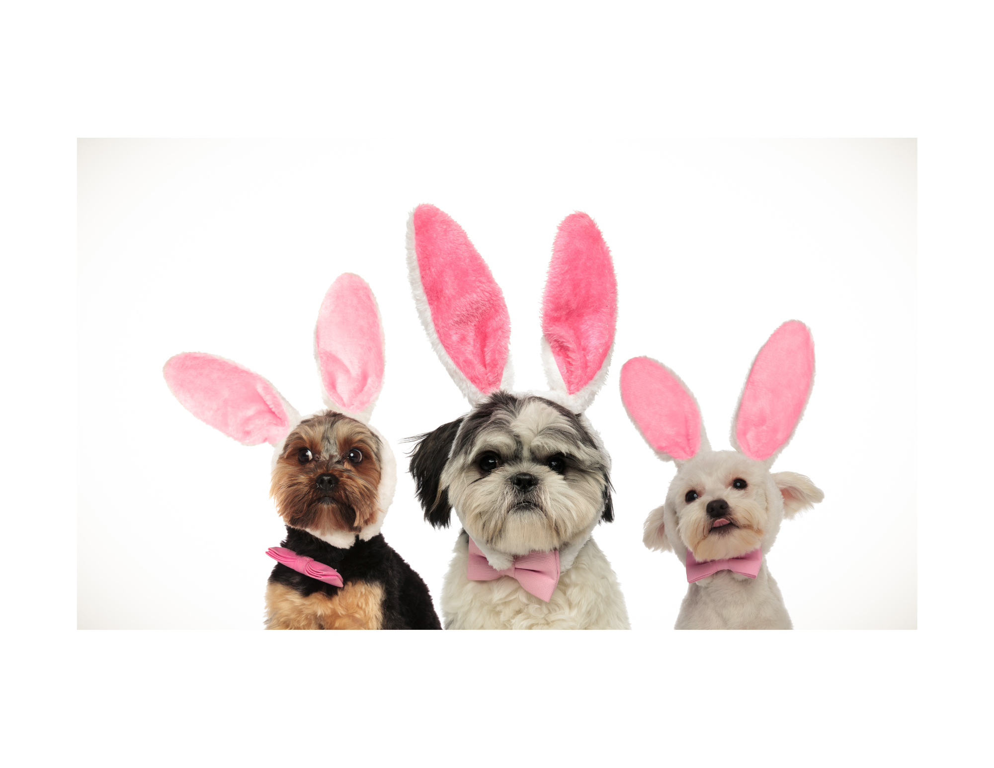 イースター礼拝