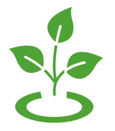 A green sprout with four leaves emerging from soil with a circular opening.
