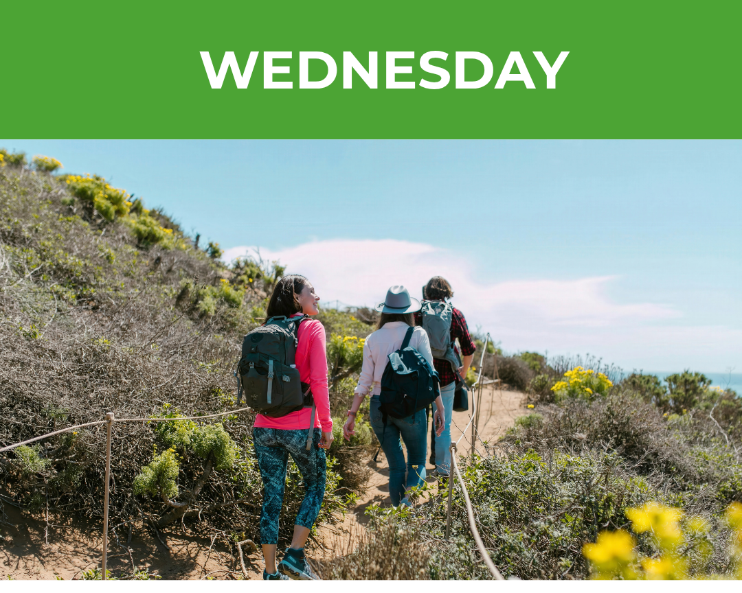 Participants walking along a coastal track during a supported group activity focused on wellbeing and social connection