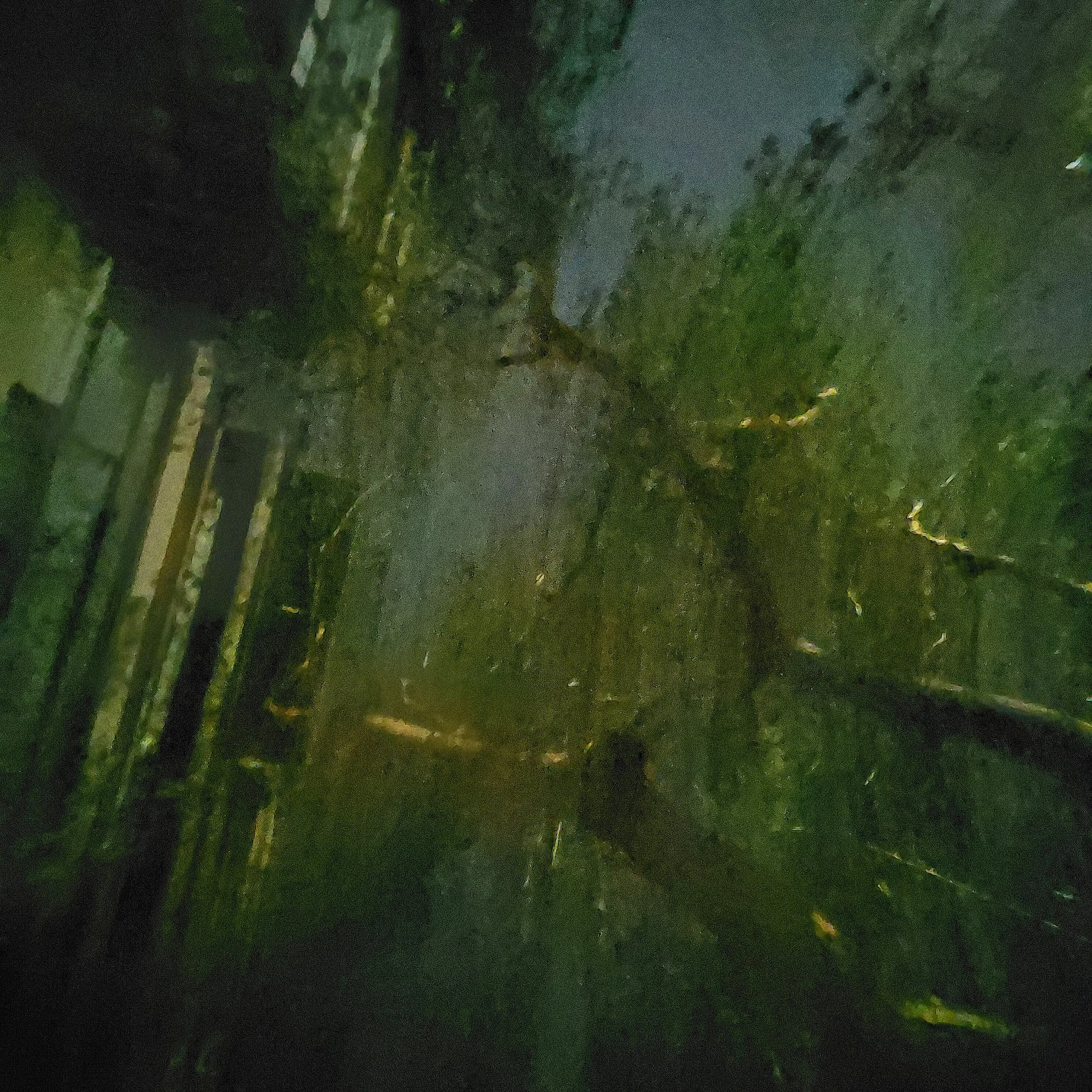 "buildings don't let trees grow enough." (2020) 
as part of the NoGlitchAddedð project
 ≈

¦⭒

≈
¦⭒

≈
≈

¶¨¨¨¨.........


digital photography