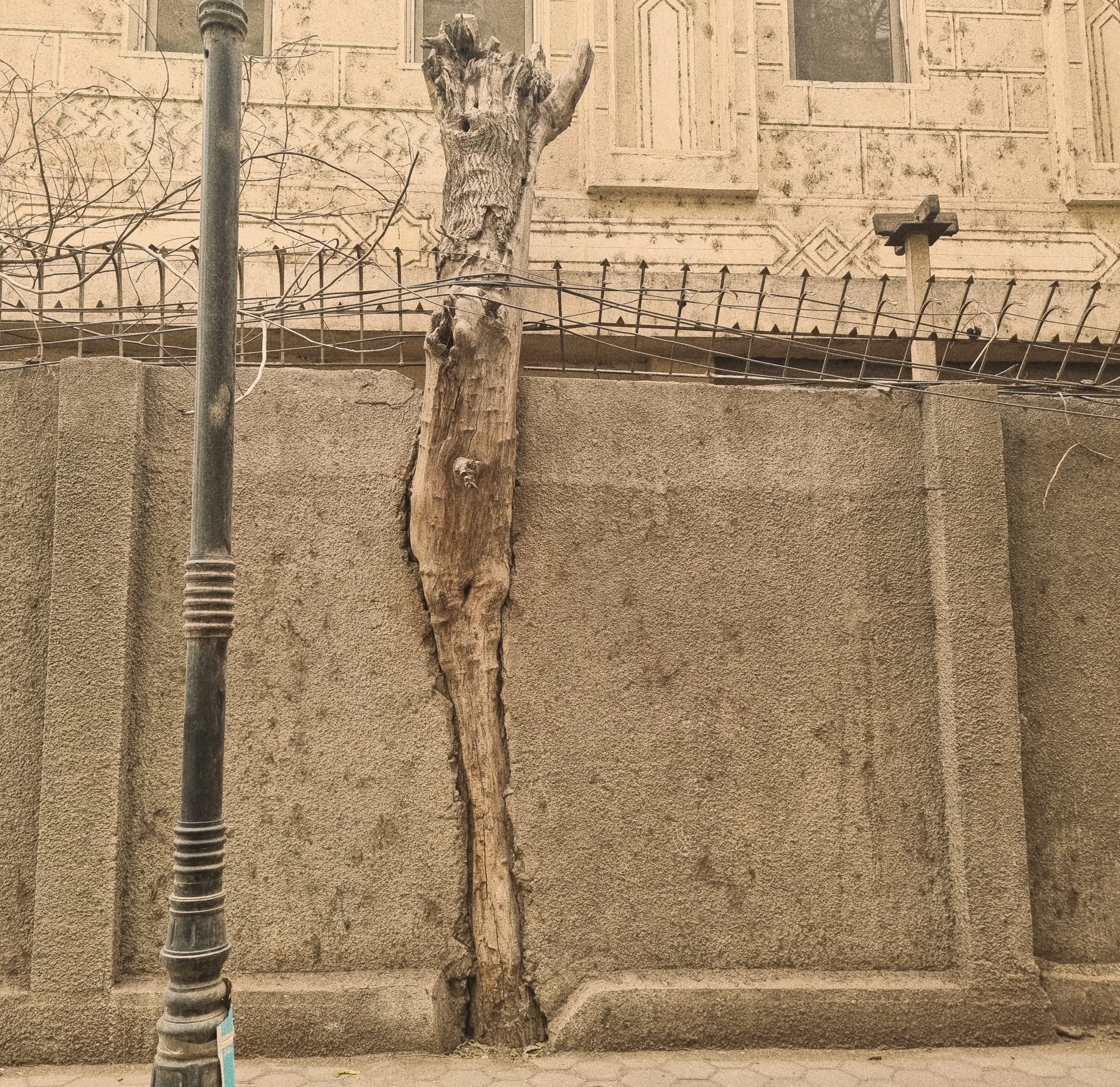 20220306_154732 (1).jpg