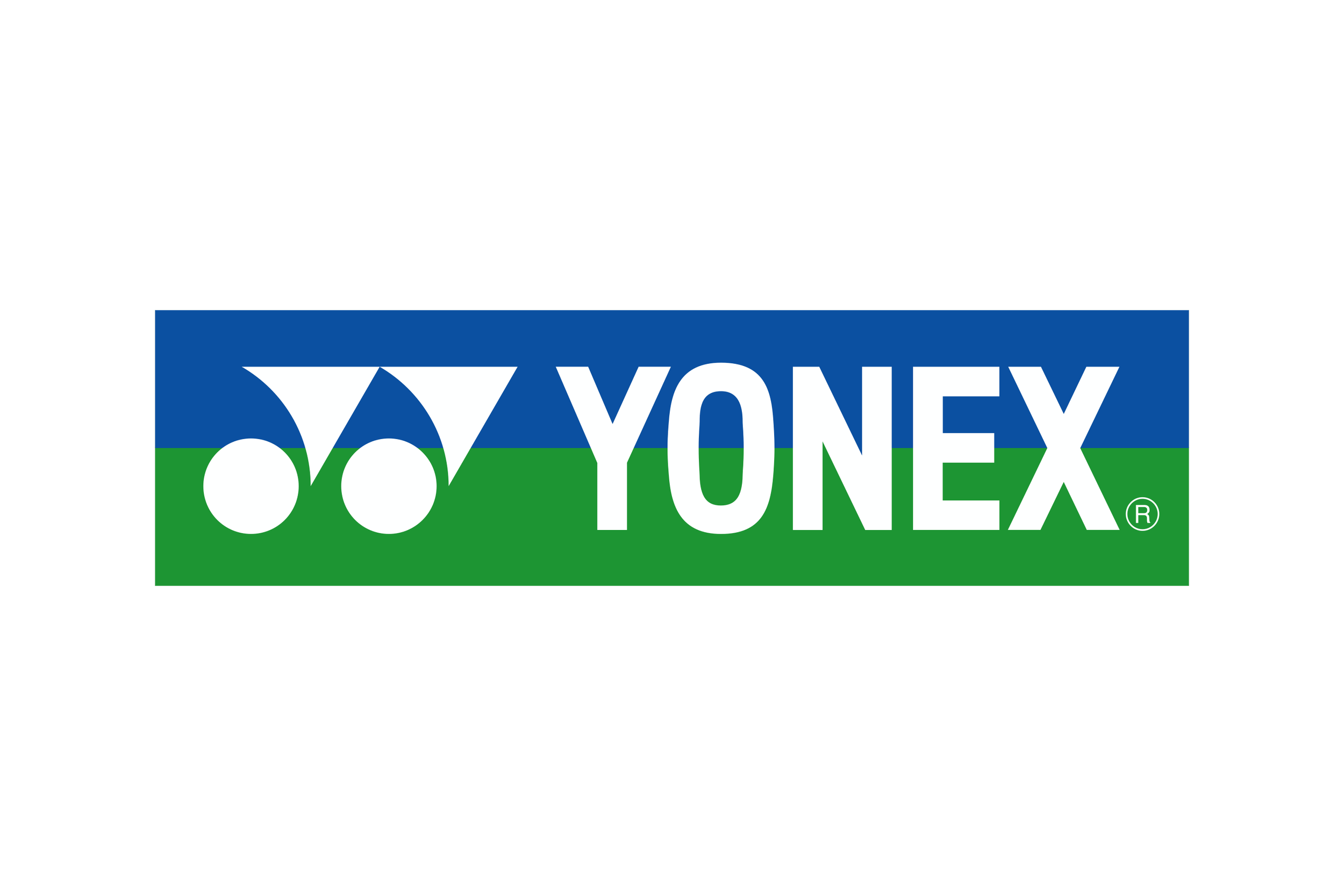 YONEX logo with blue, green, and white color scheme, featuring two white shuttlecocks on the left and the word 'YONEX' next to them.