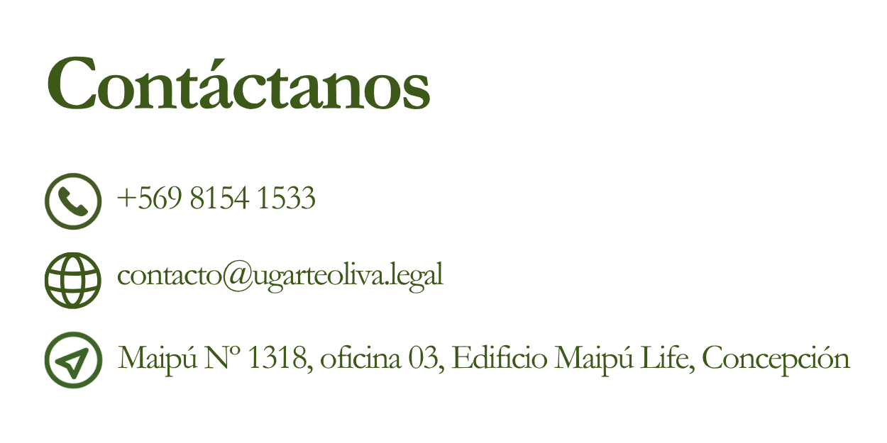 Información de contacto en color verde, incluyendo teléfono, correo electrónico y dirección física.