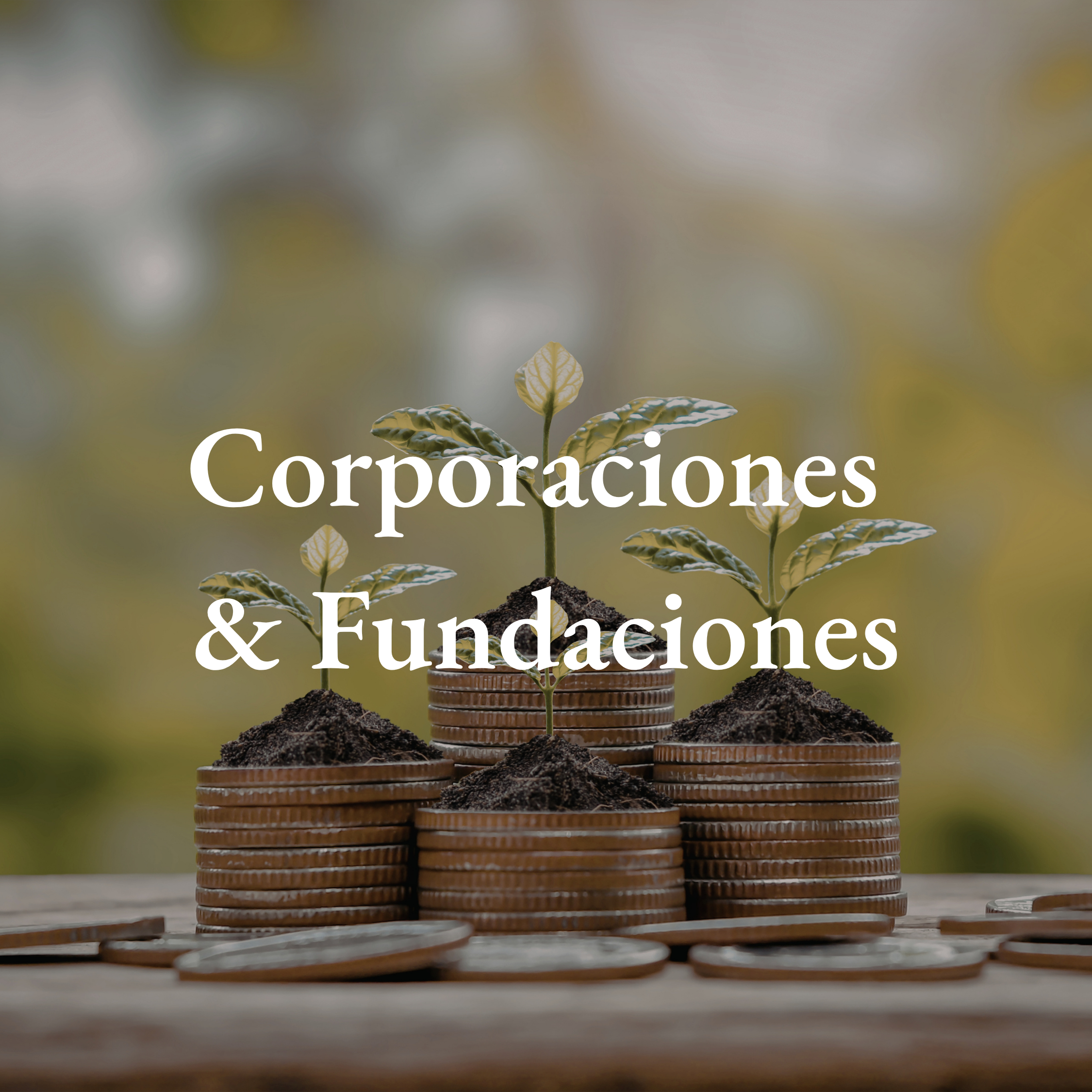Diferentes monedas apiladas con tierra y plantas creciendo de ellas, simbolizando inversiones en corporaciones y fundaciones.
