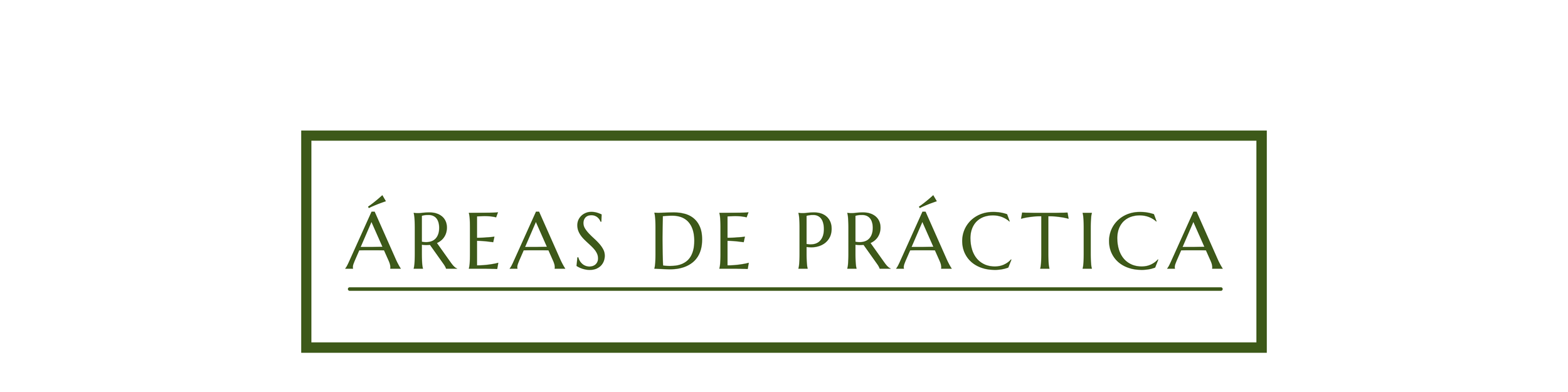 Texto que dice 'ÁREAS DE PRÁCTICA' en letras verdes dentro de un cuadro rectangular.