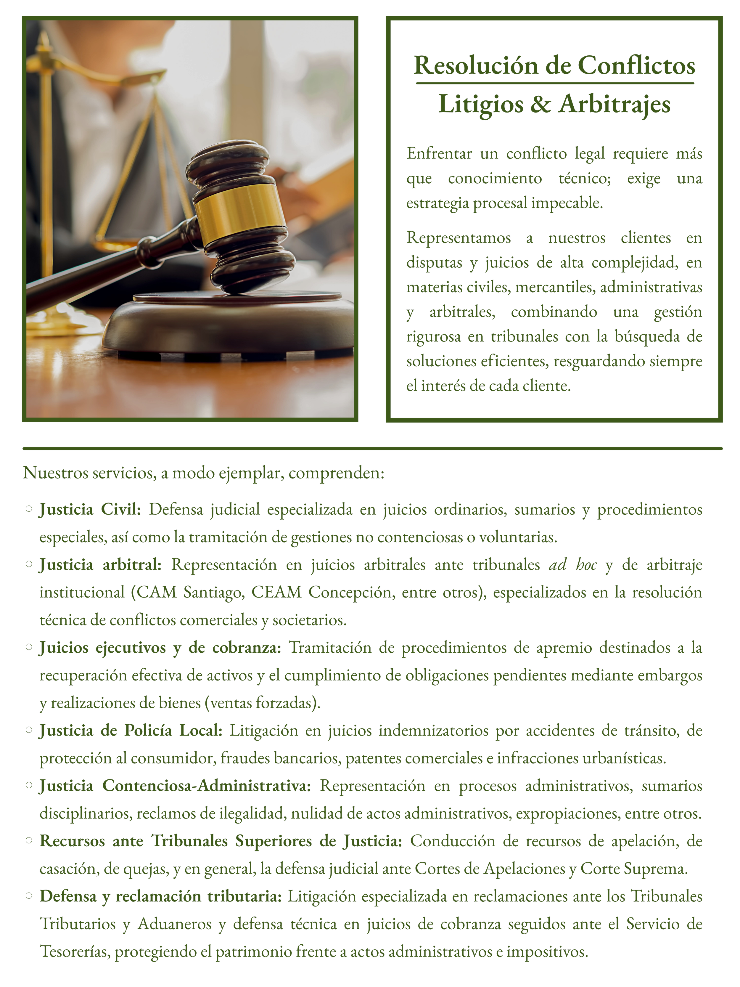 Documento de texto con título 'Resolución de Conflictos Litigios & Arbitrajes' y descripción de servicios jurídicos especializados, incluyendo justicia civil, arbitral, ejecuciones, policía local, contenciosa, recursos, y defensa tributaria.