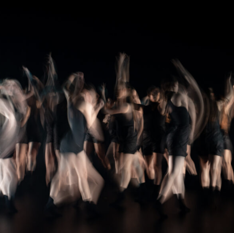 Review: Echo by Australasian Dance Collective Is A Breath Of Fresh Air