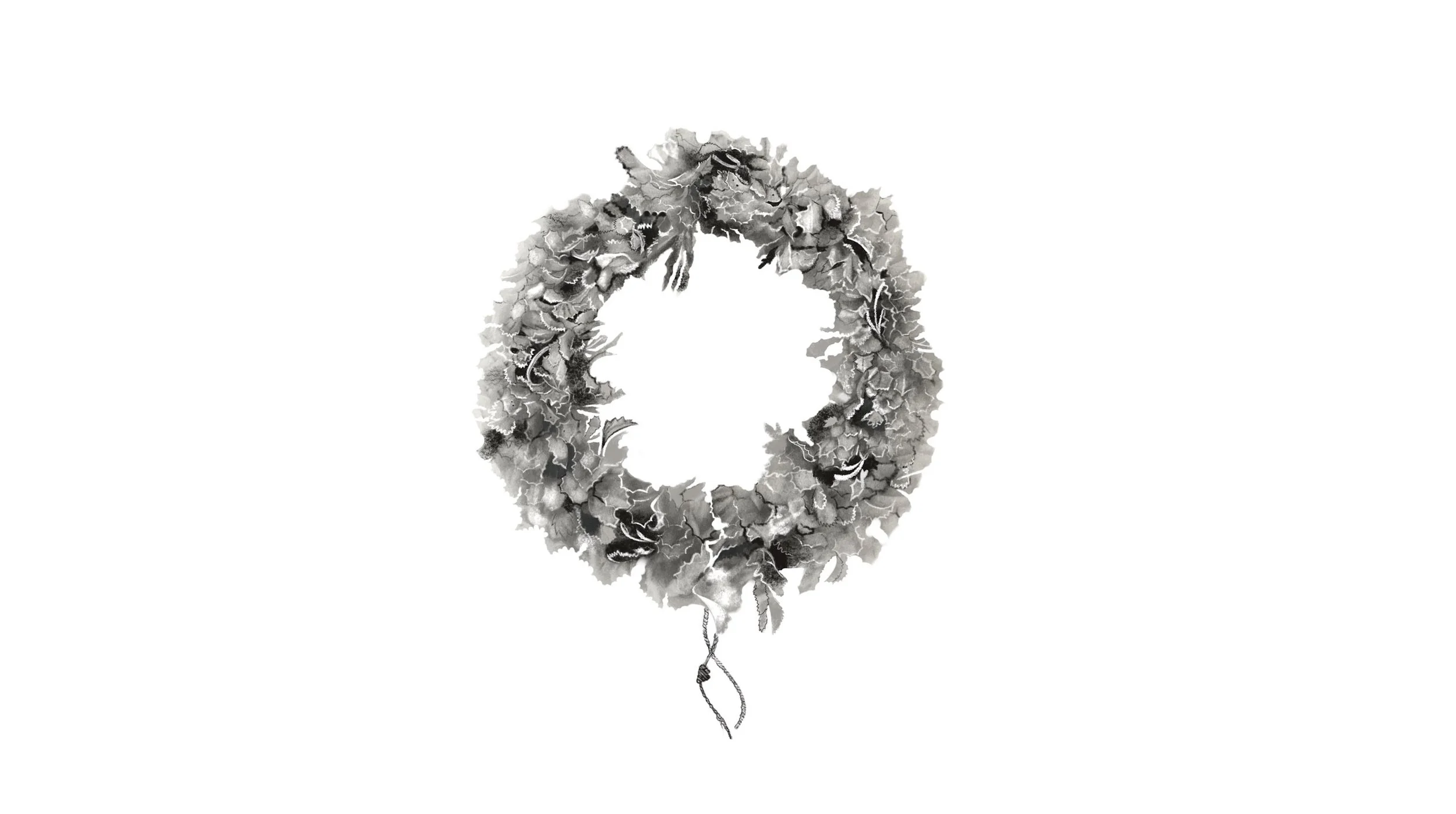 Portfolio 2016 - 2025