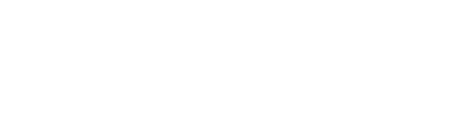 The Ice Guys