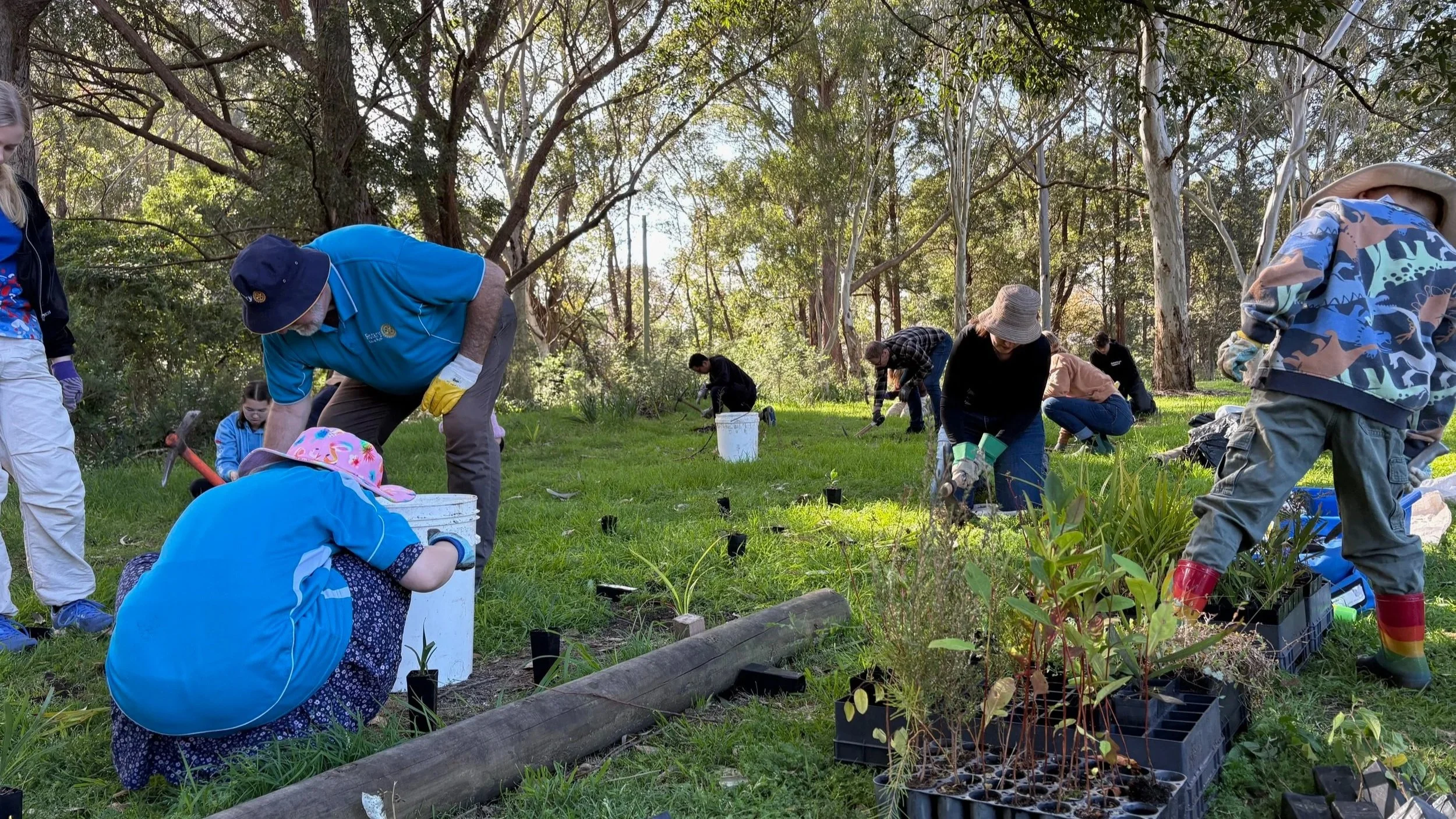 Getting Our Hands Dirty for a Greener Ryde!