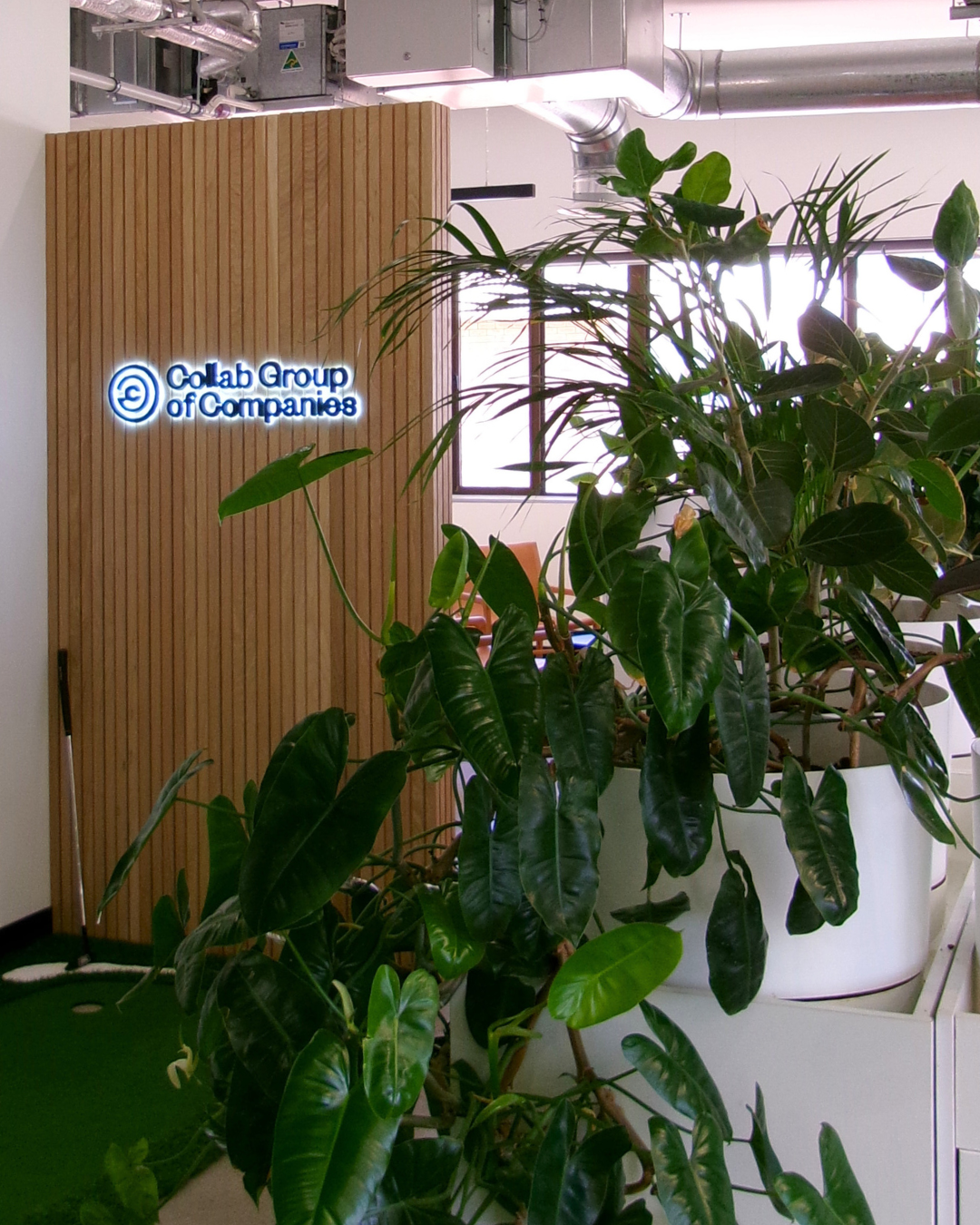 Collab Group Moves Into a New Office, Marking a Major Milestone in Our Growth 