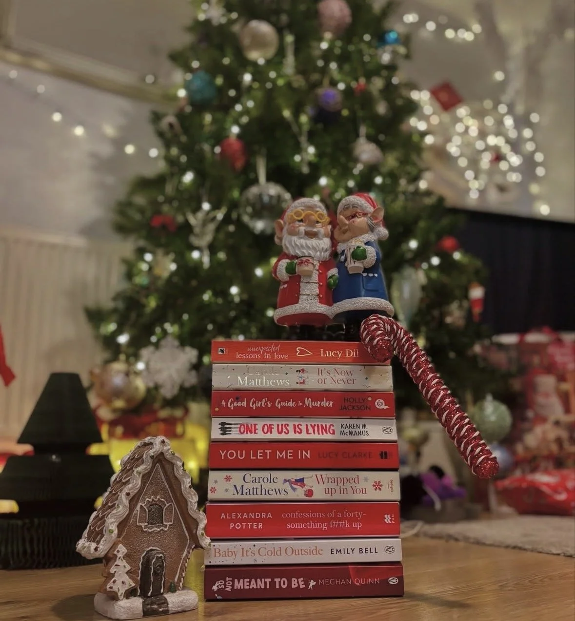 We wish you a bookish Christmas -  Gift Guide