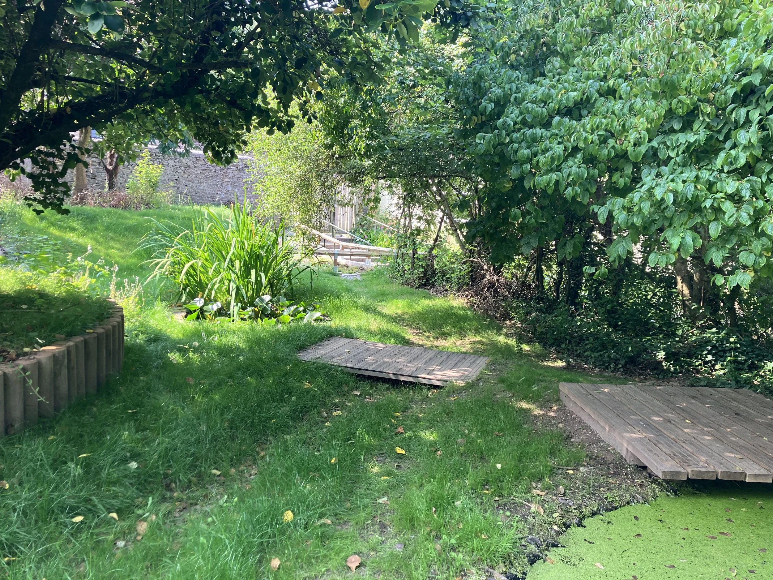 IMG_5016.JPG
