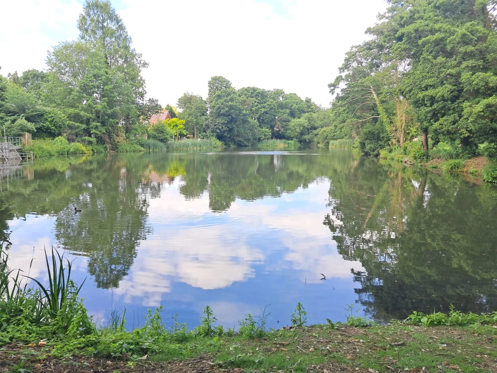 A peaceful river scene with calm water reflecting green trees on both sides and a blue sky with clouds.