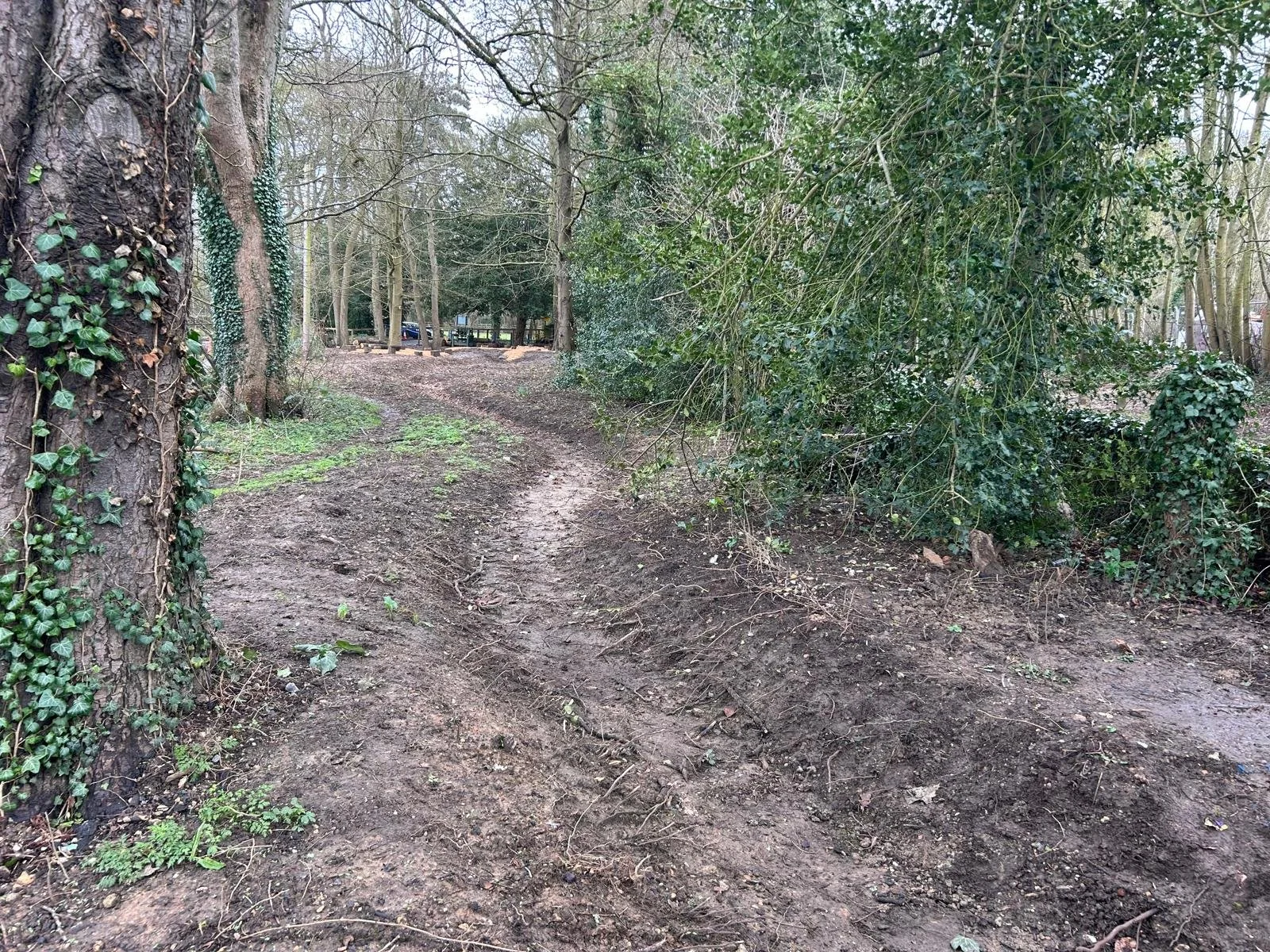 Une piste de terre dans une forêt dense avec des arbres et des arbustes, probablement dans un parc ou une zone boisée.
